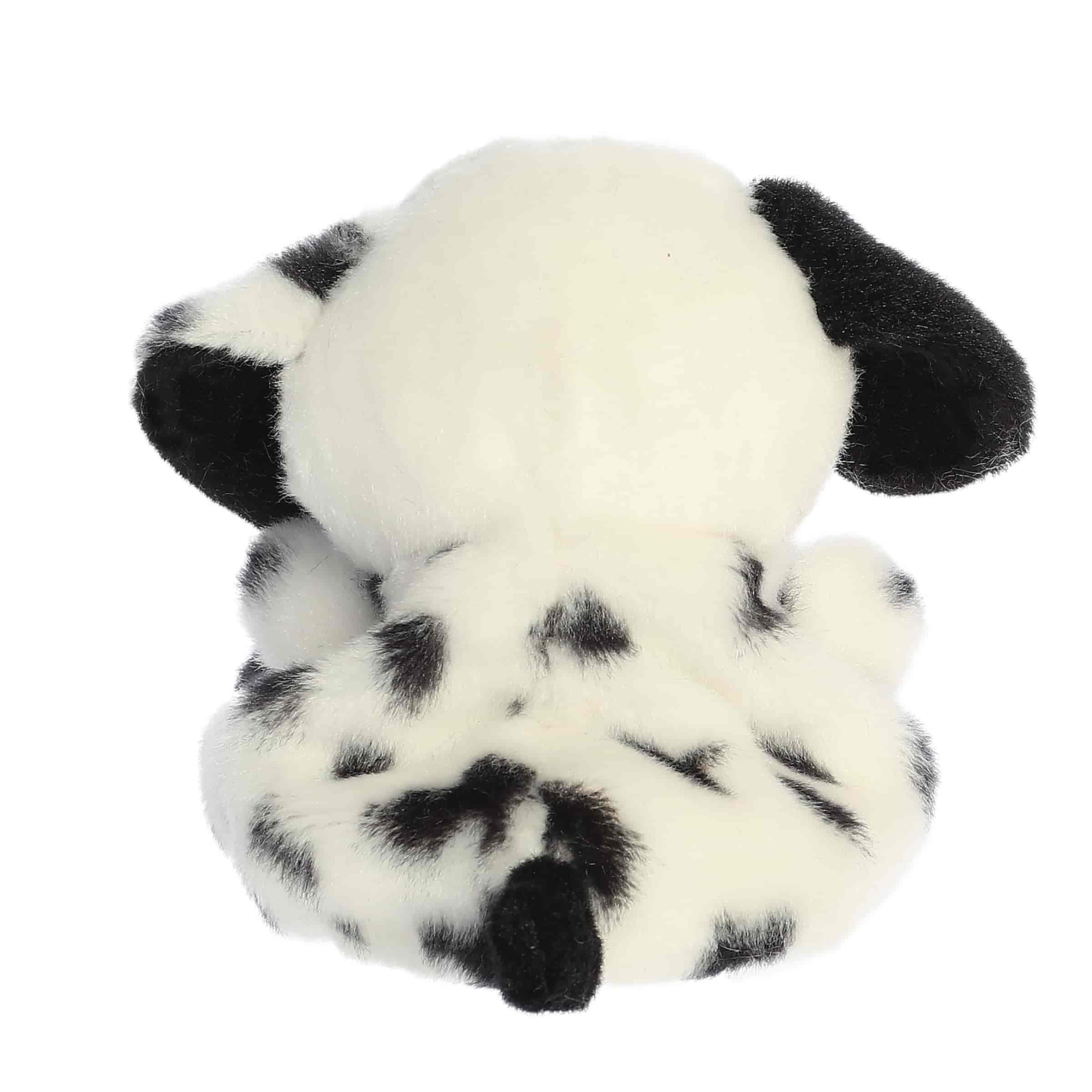 Barkley Dalmatian - Image 4