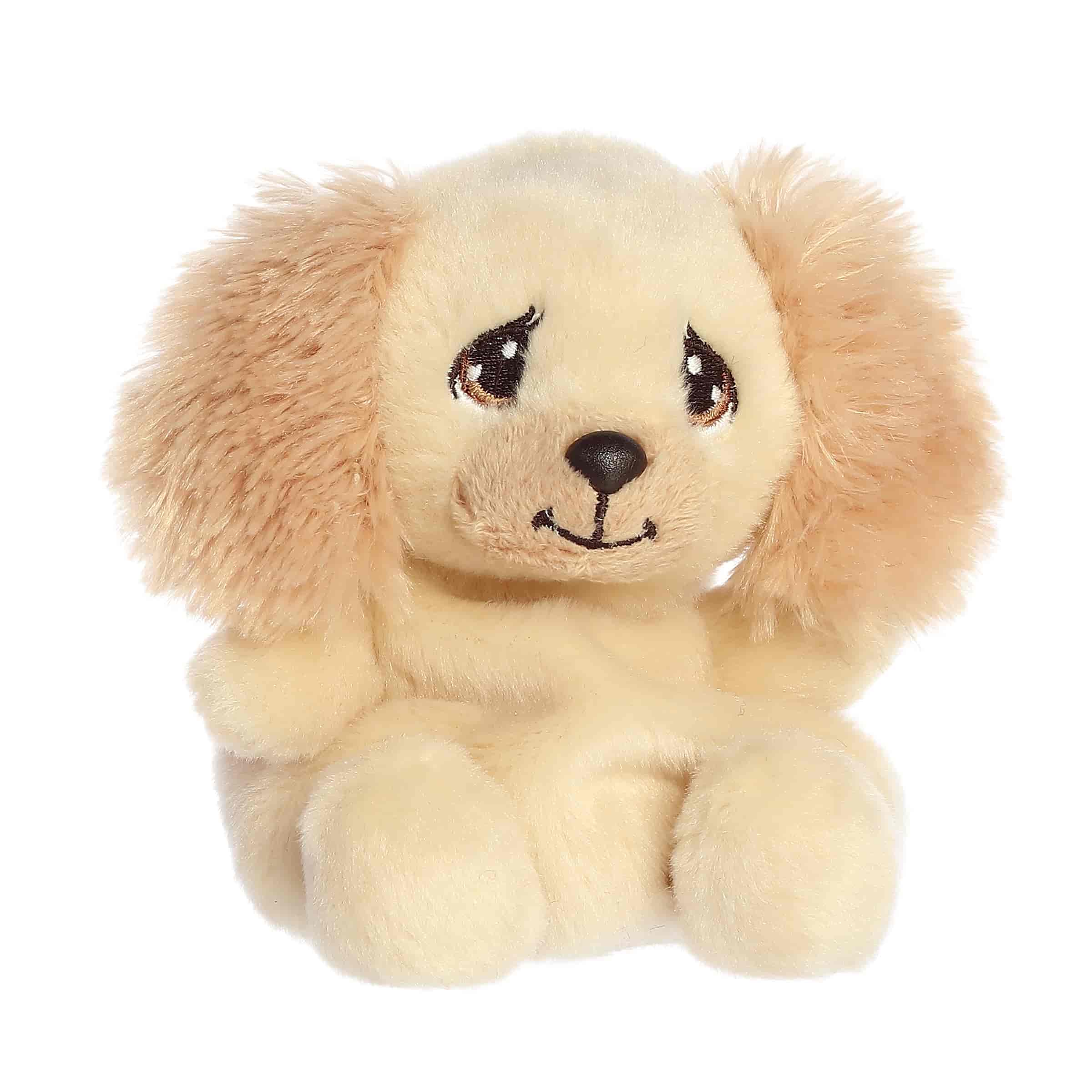 Daniel Spaniel - Image 2