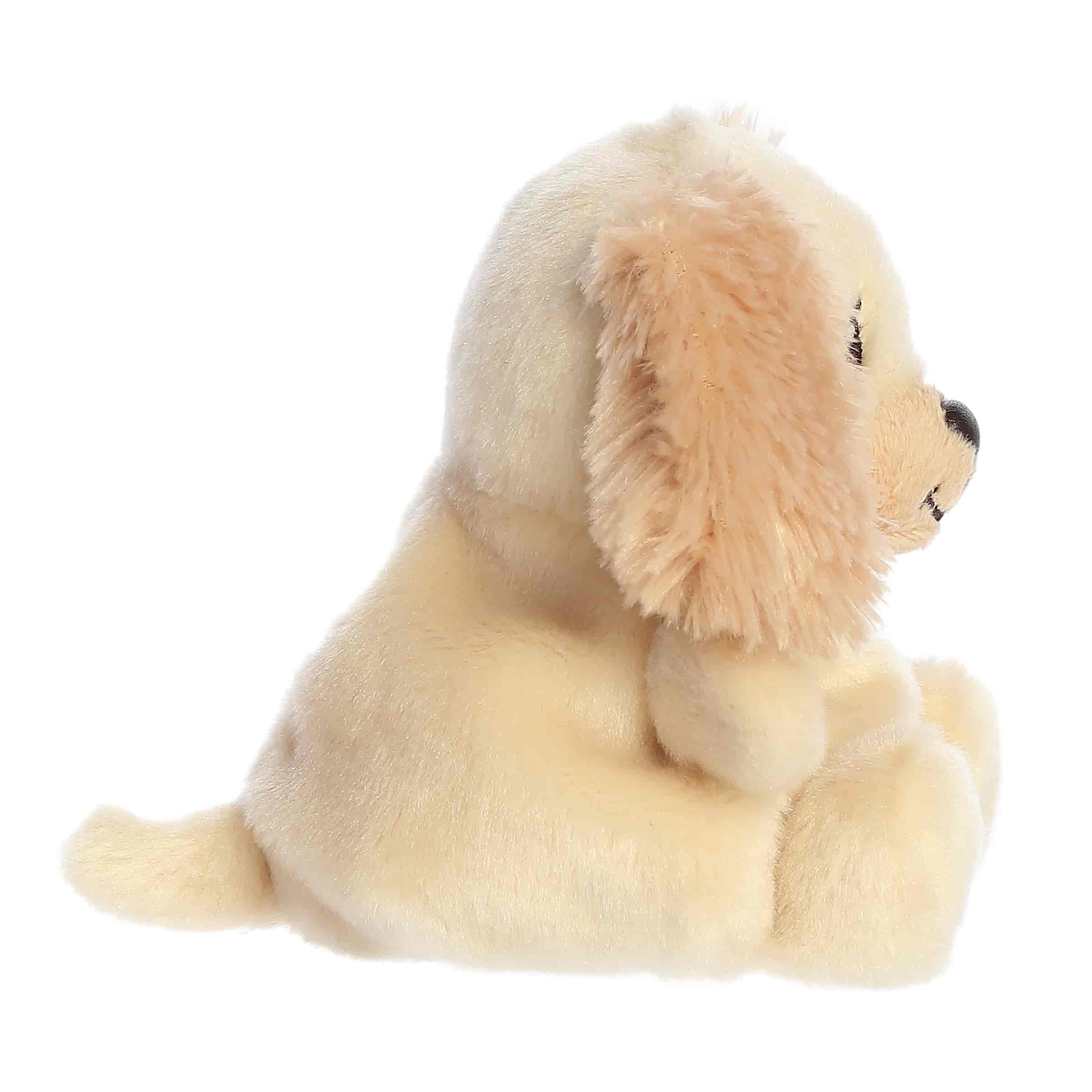 Daniel Spaniel - Image 3
