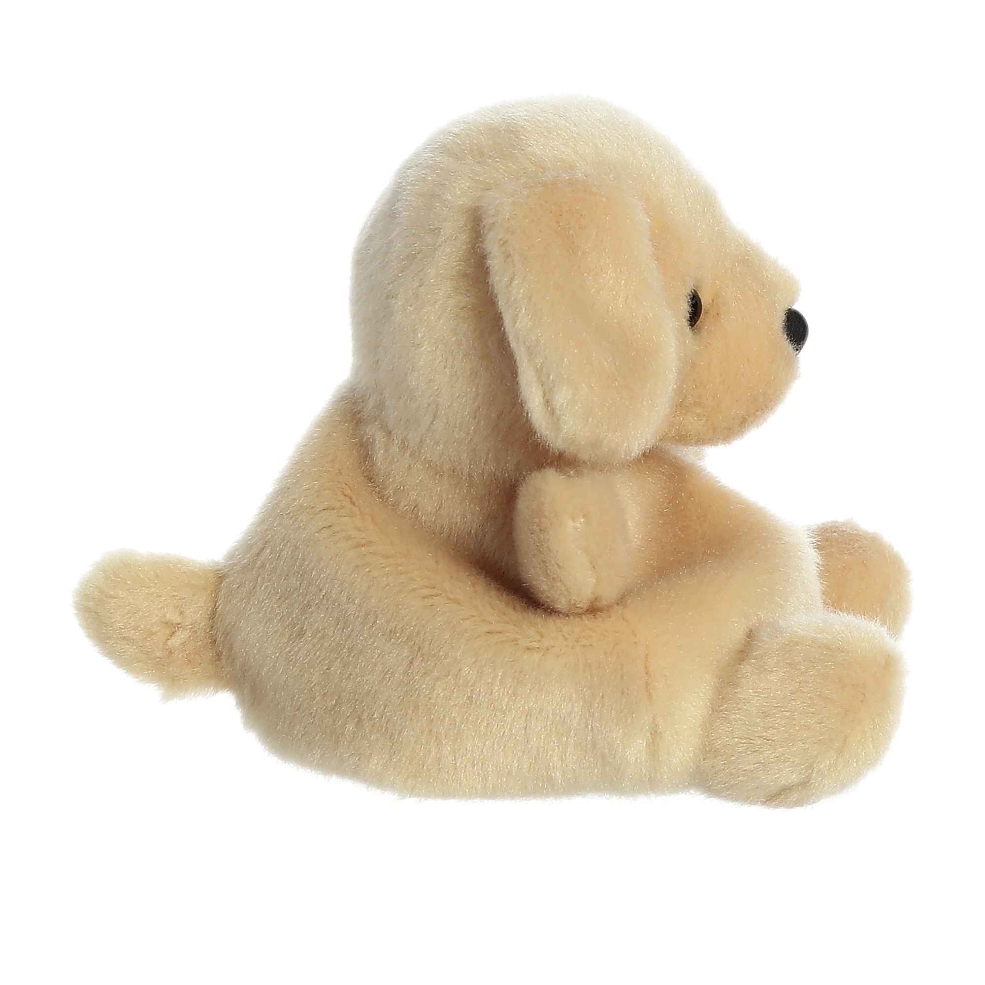 Sunny Lab™ - Image 3