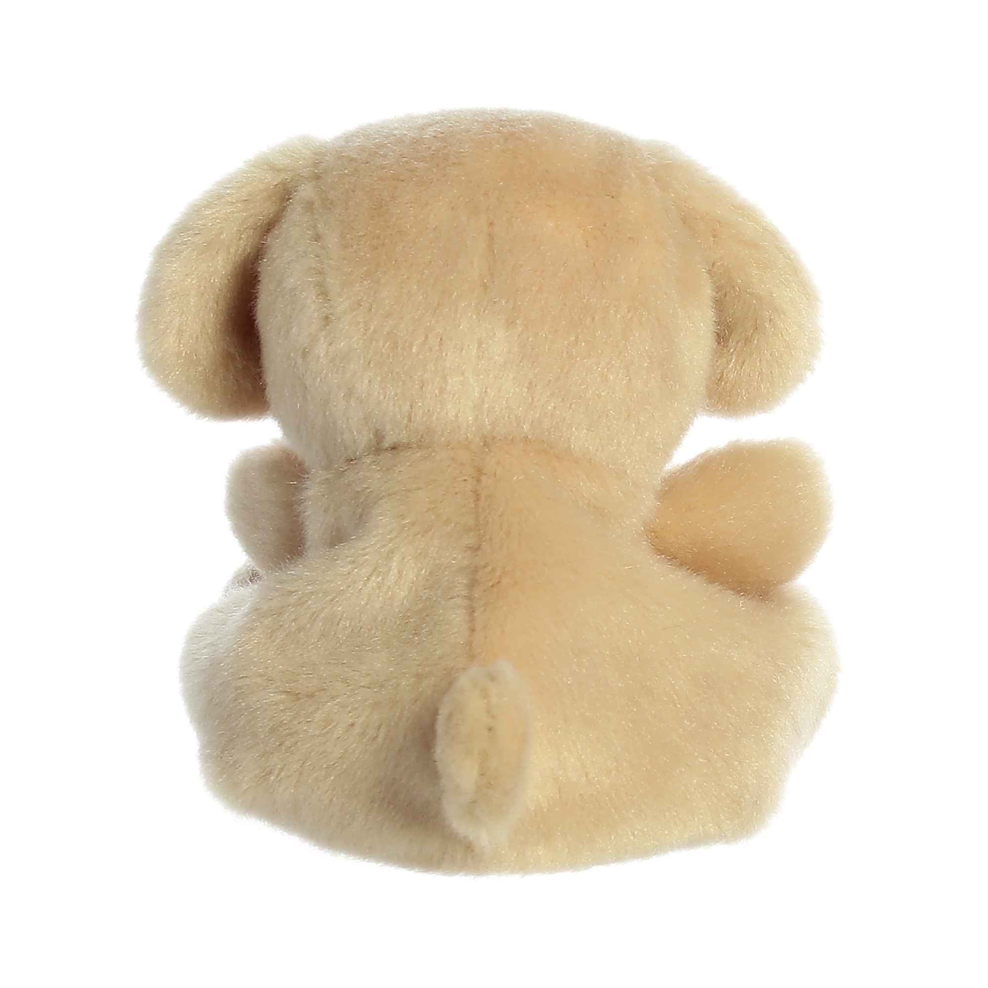 Sunny Lab™ - Image 4