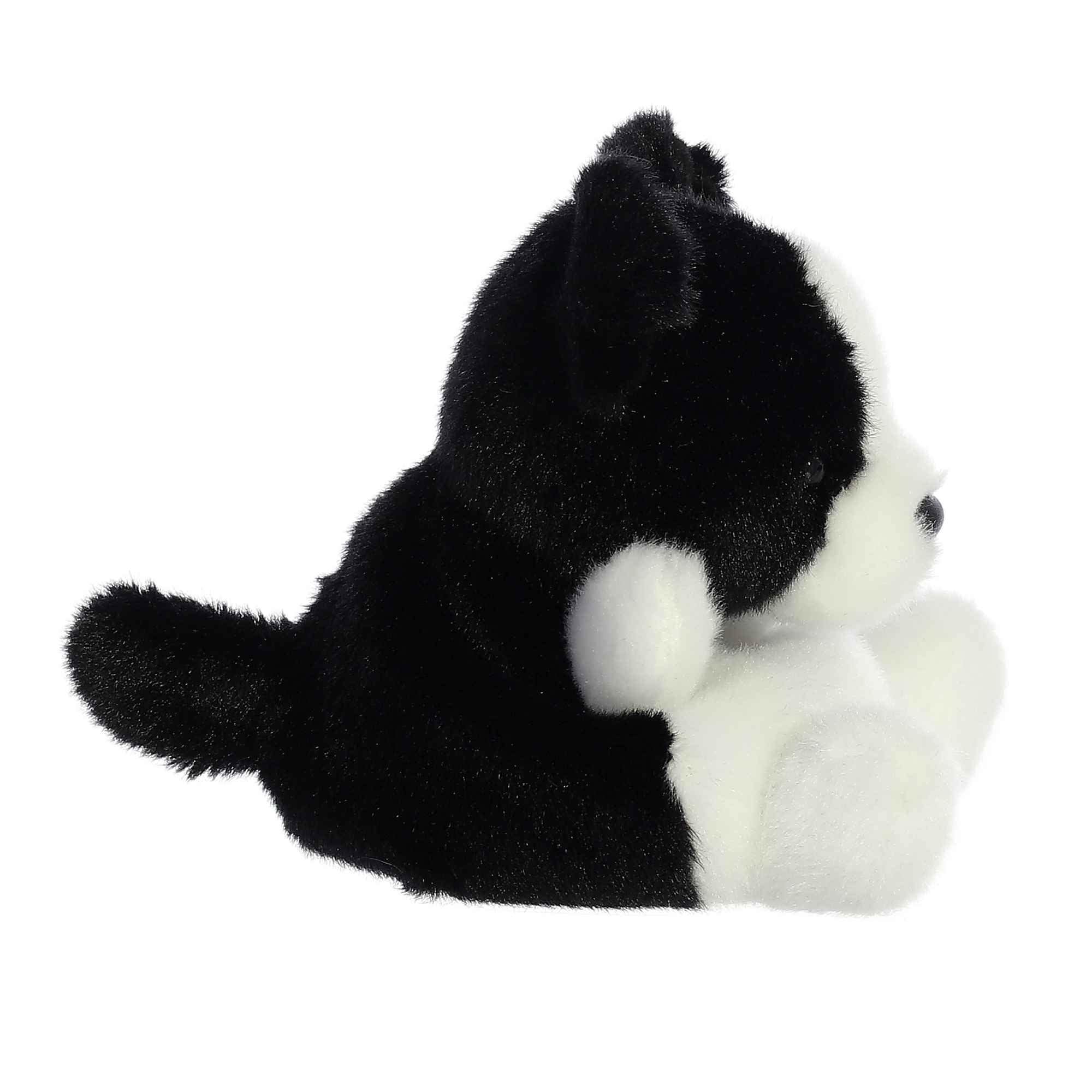 Brody Collie™ - Image 3