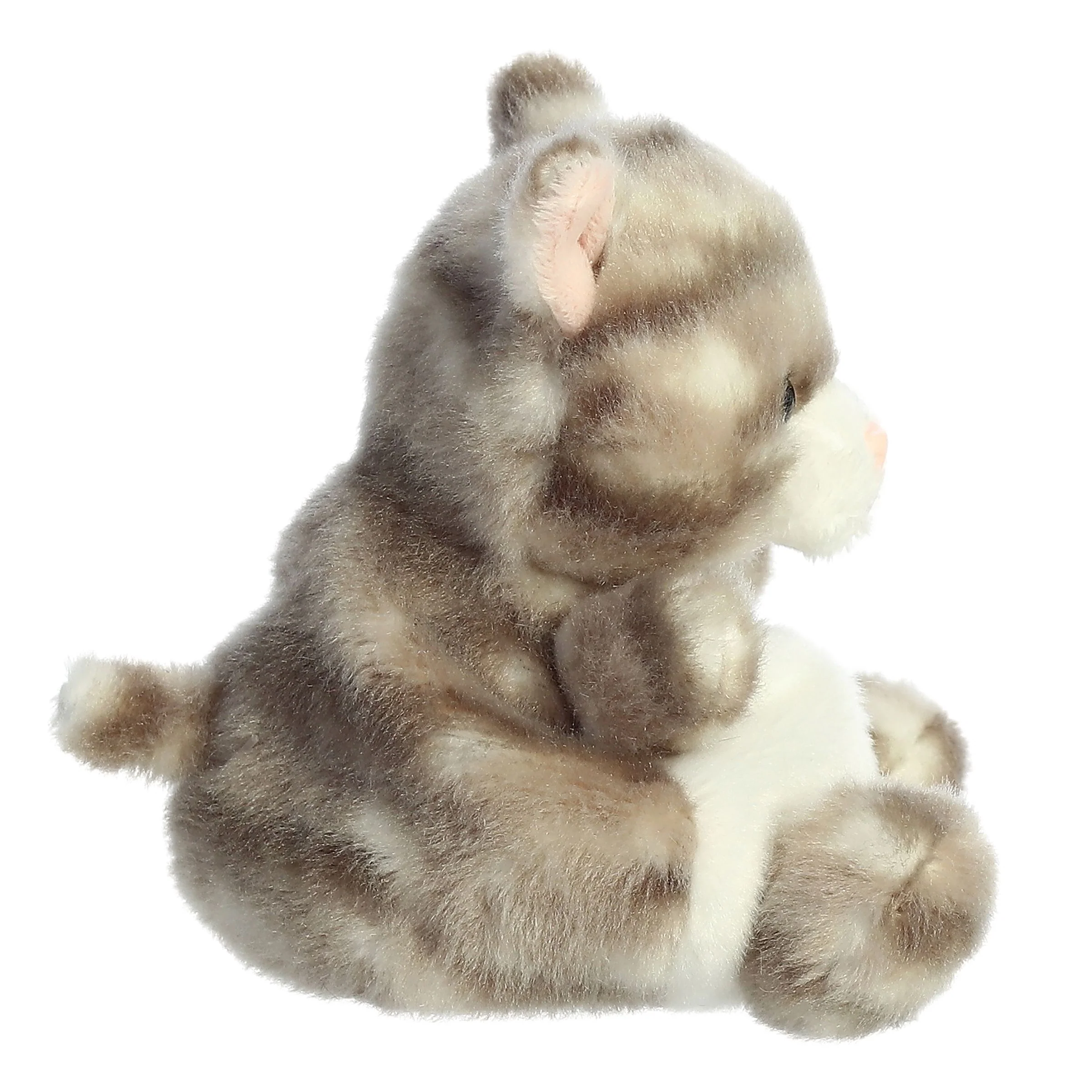 Silver Kitty™ - Image 2