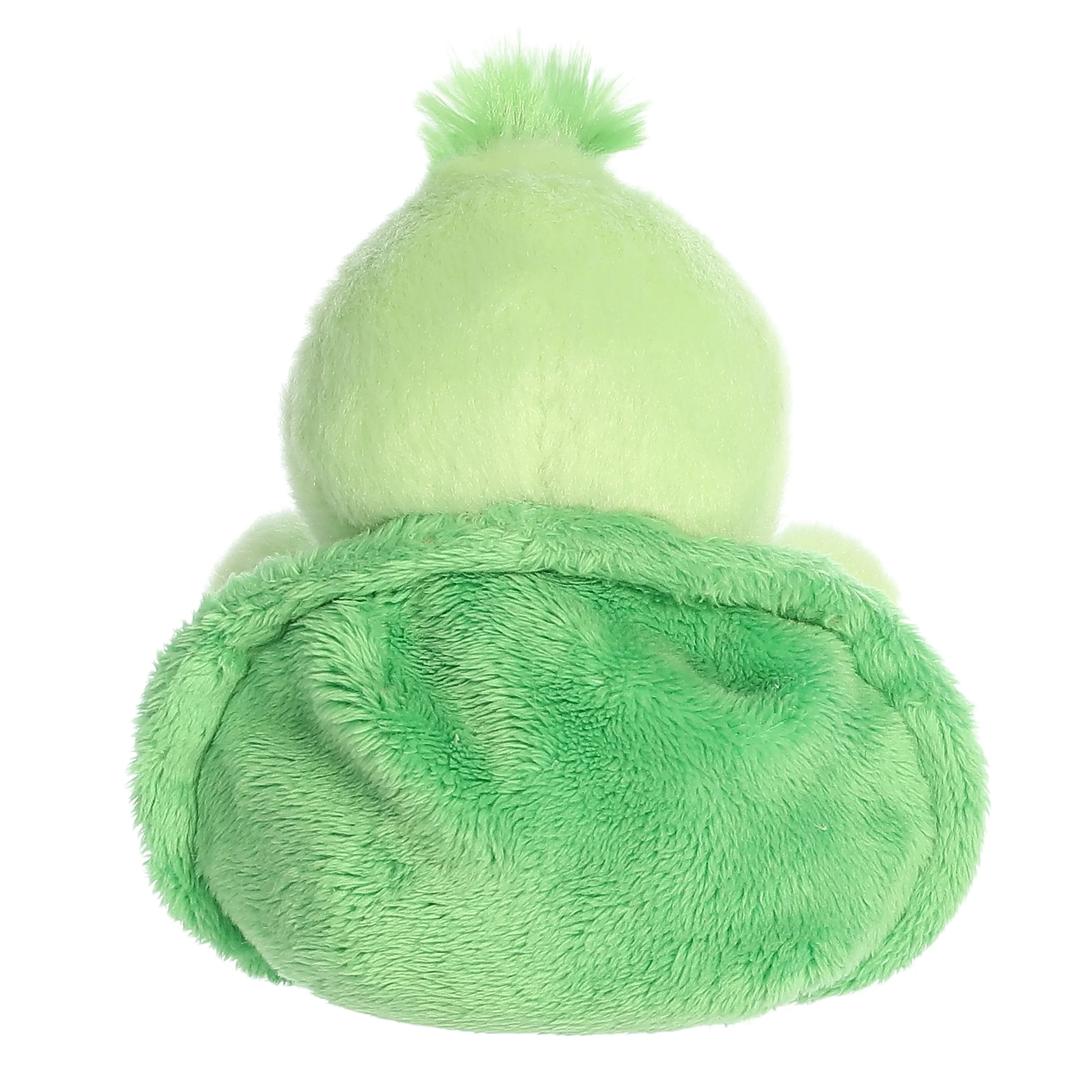 Tiny Turtle™ - Image 4