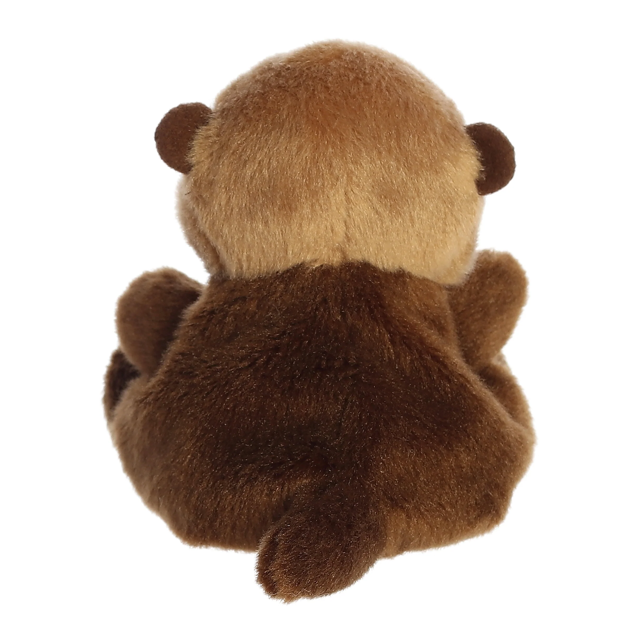 Selena Sea Otter™ - Image 4