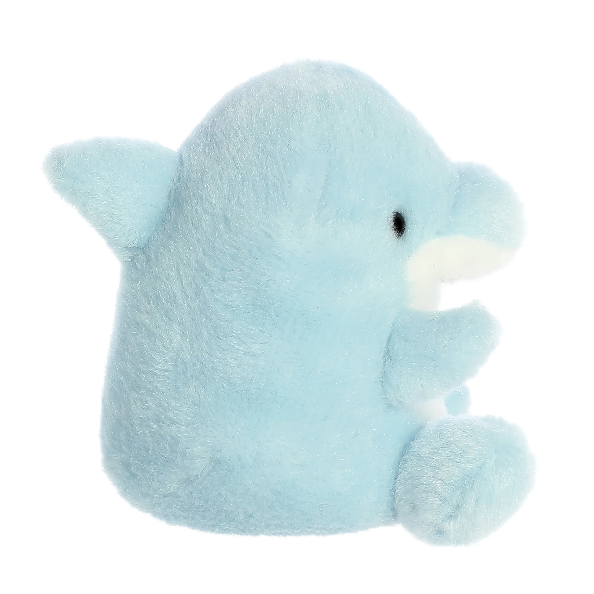 Clicks Dolphin™ - Image 3