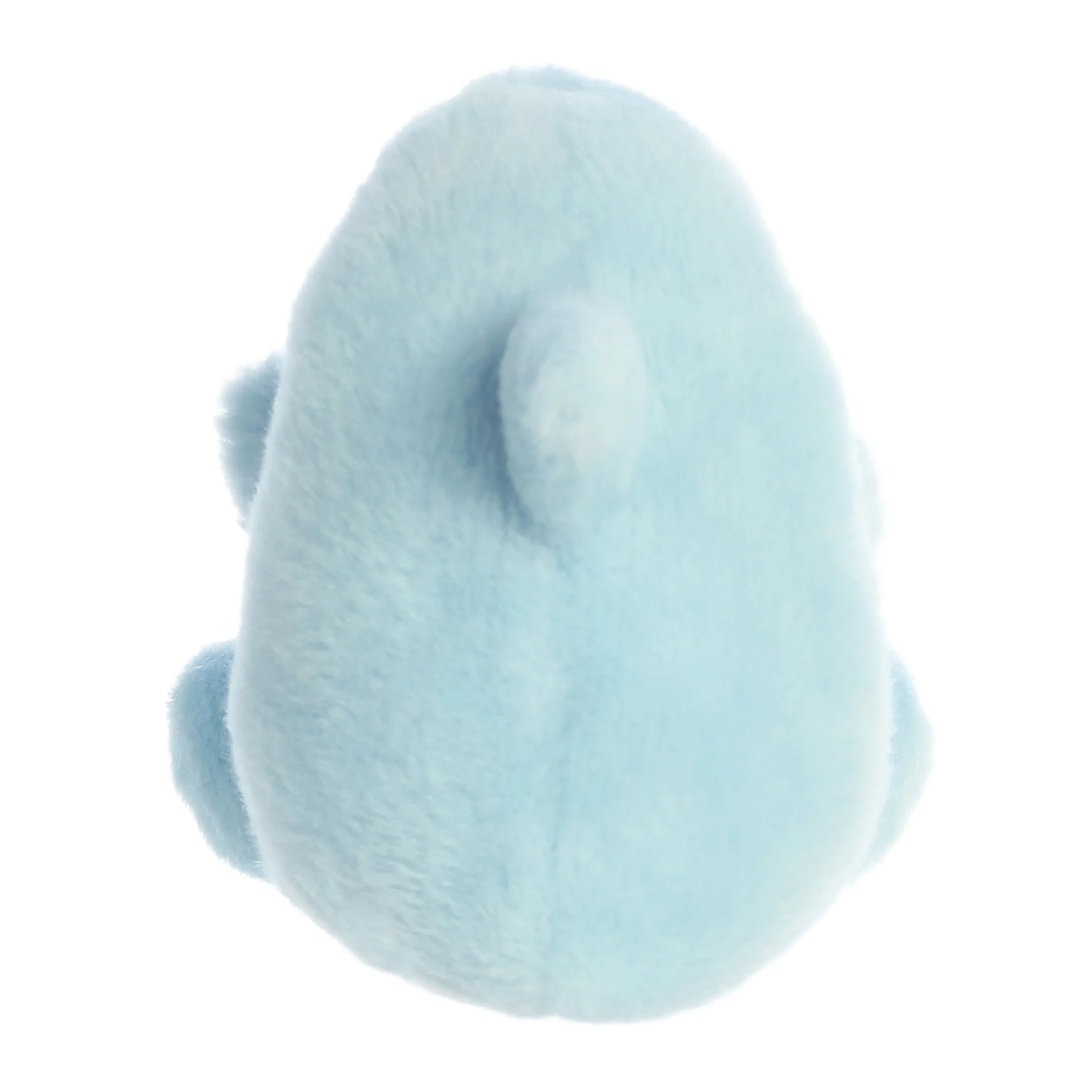 Clicks Dolphin™ - Image 4