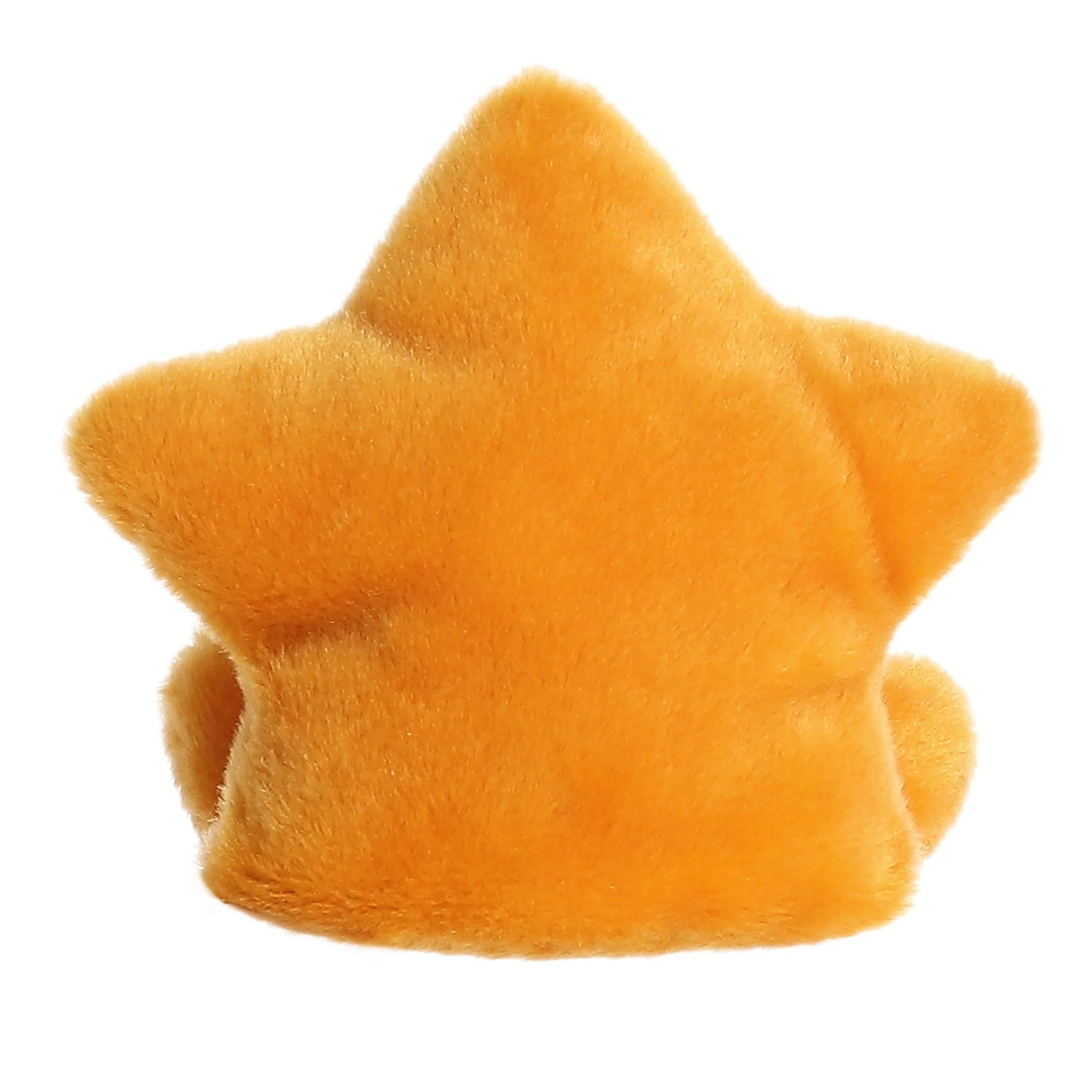 Treasure Starfish™ - Image 4