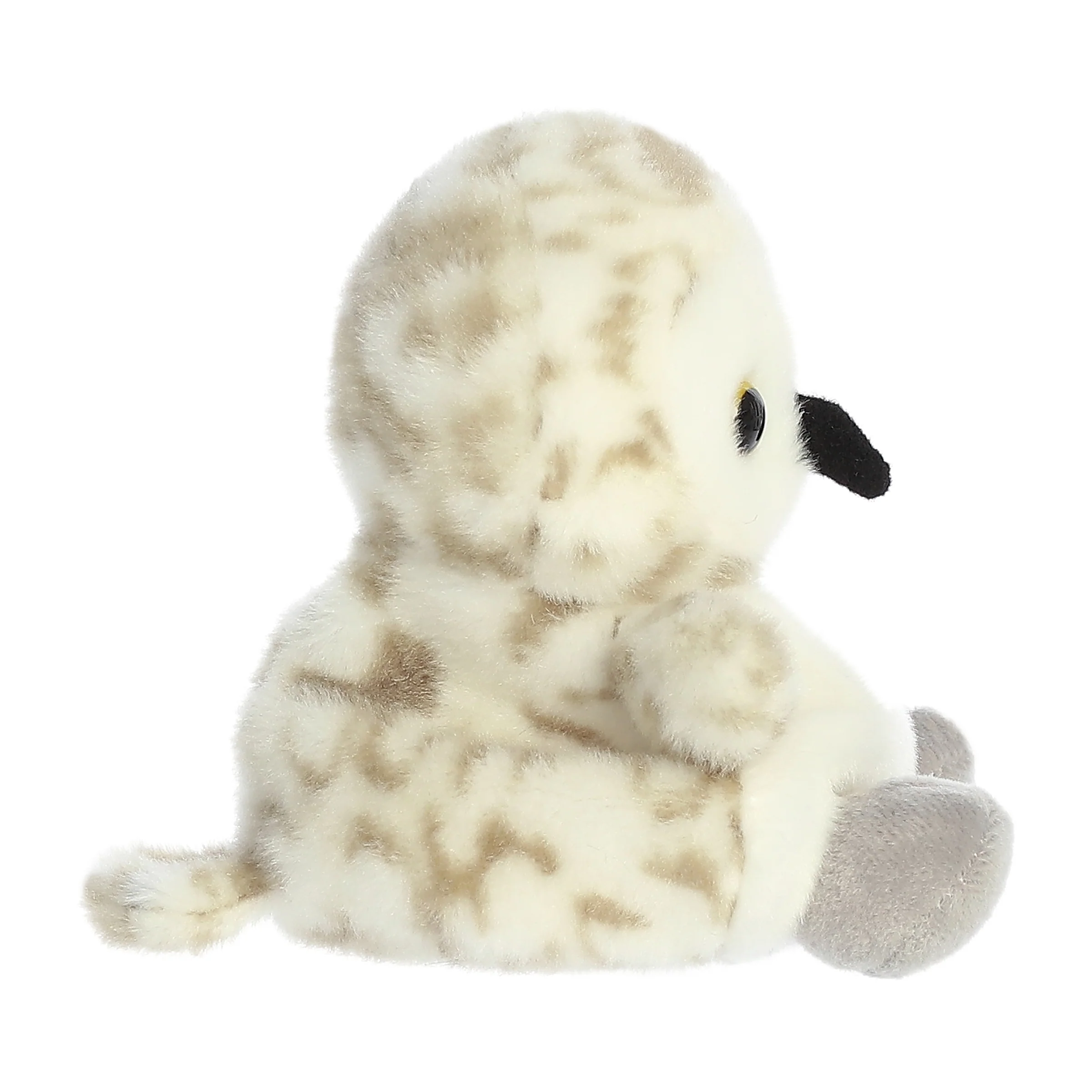 Sasha Owlâ„¢ - Image 3