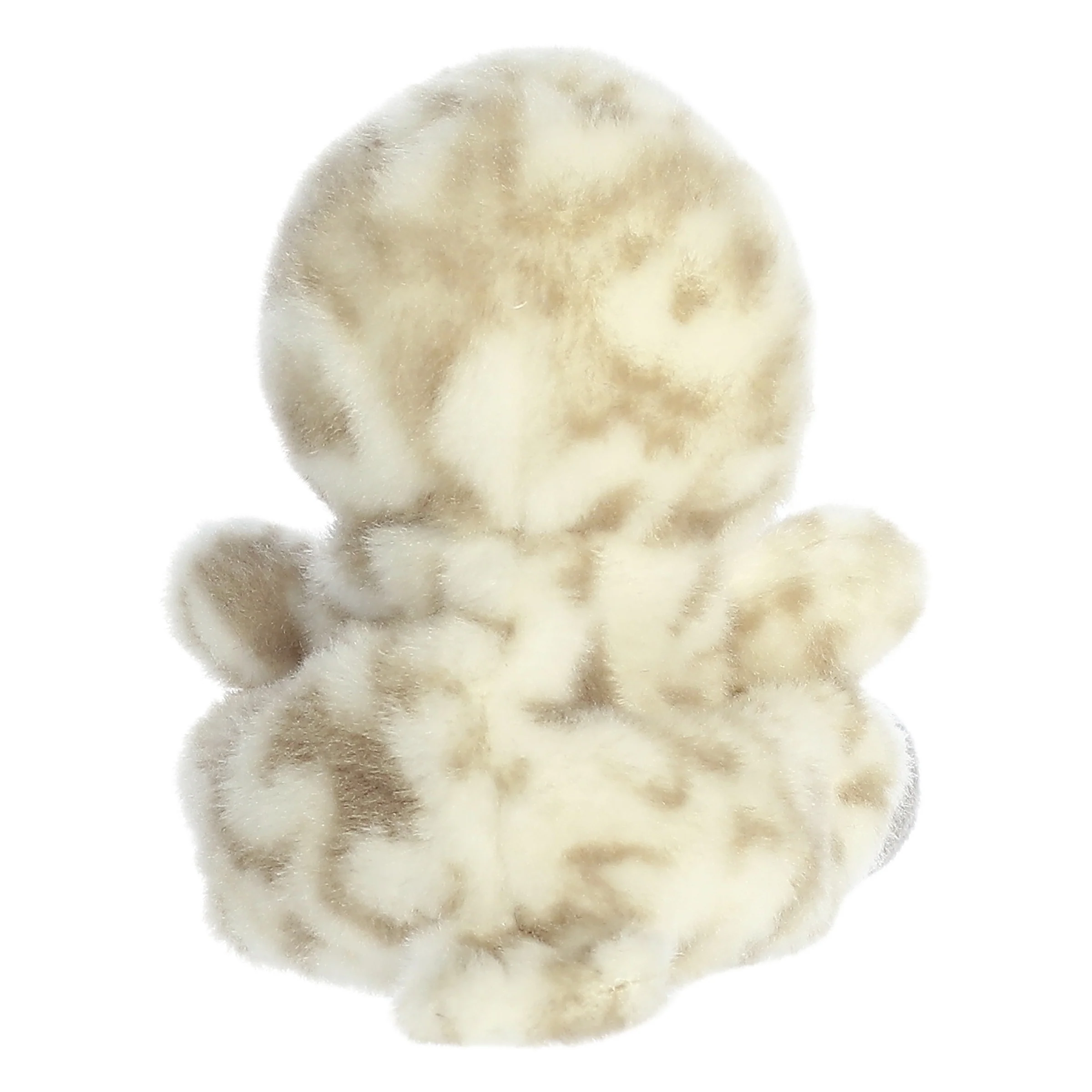 Sasha Owlâ„¢ - Image 4