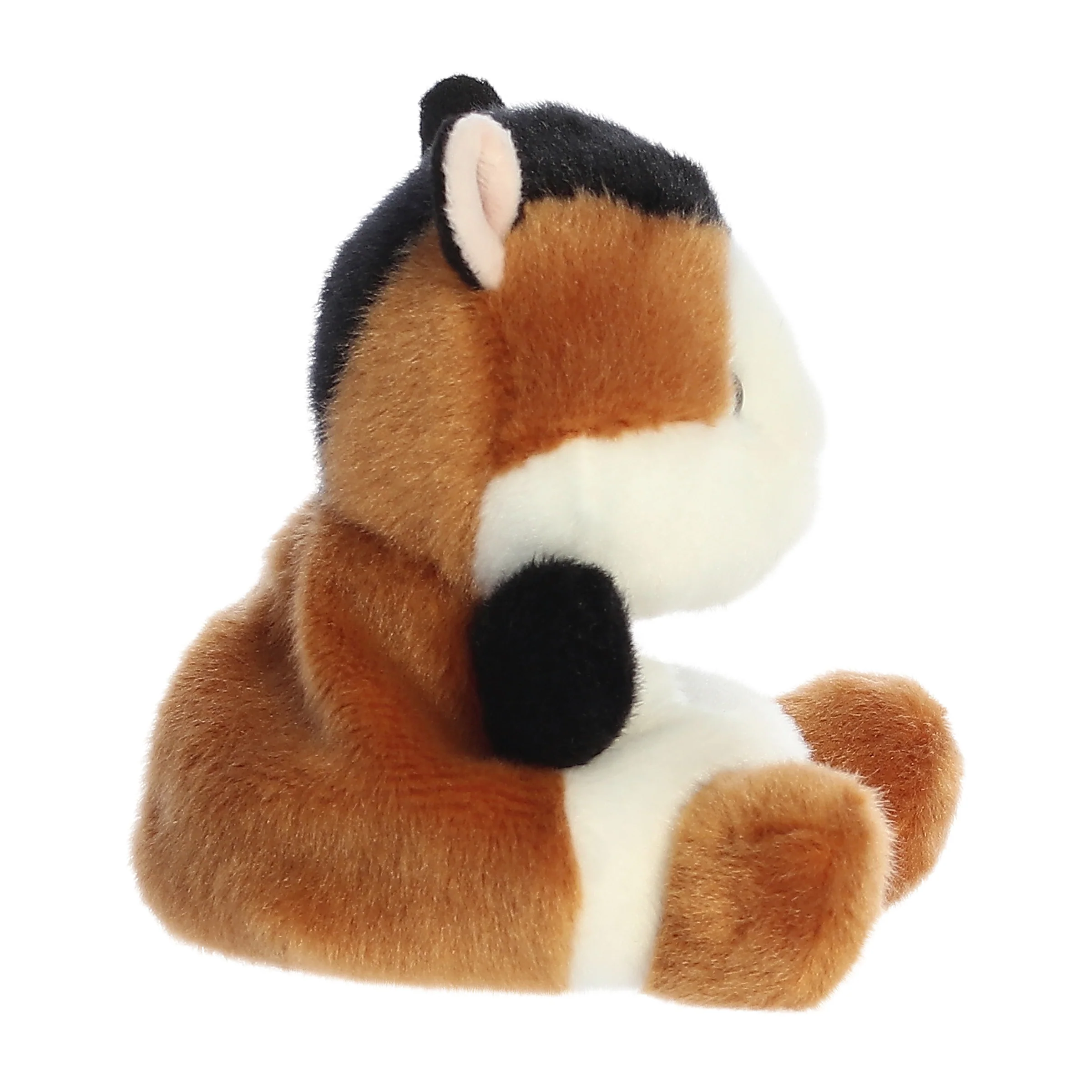 Nutmeg Guinea Pig™ - Image 3