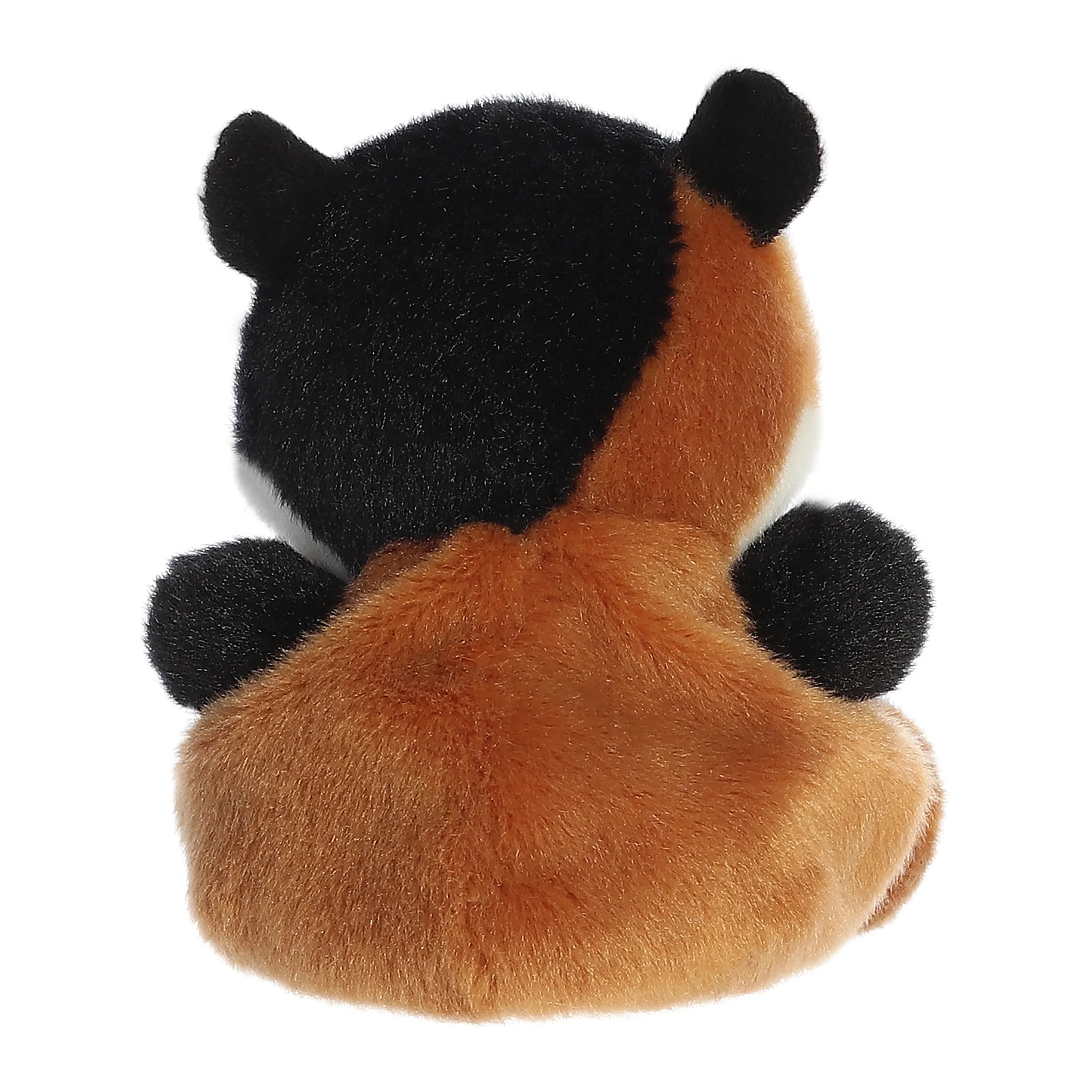 Nutmeg Guinea Pig™ - Image 4