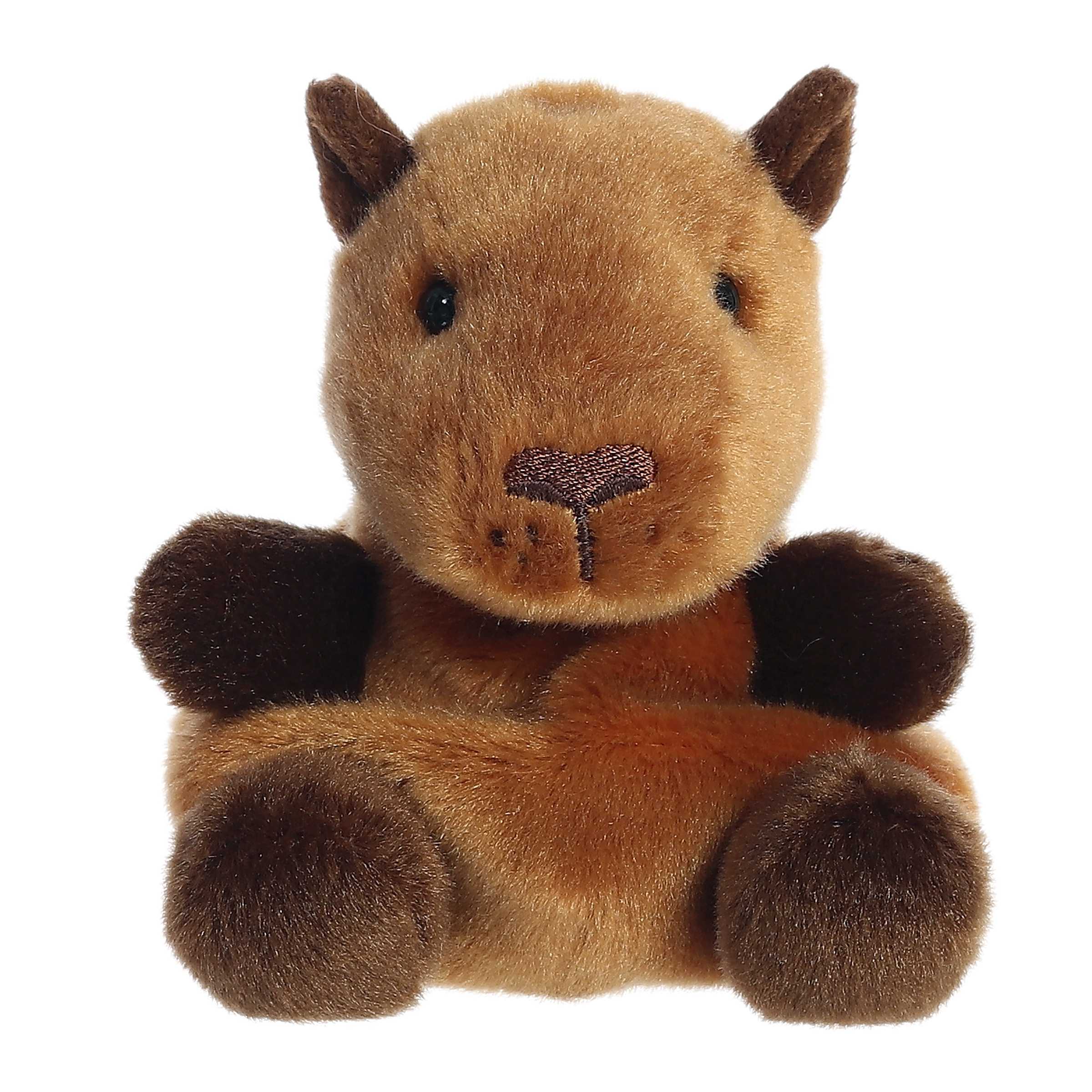 Sid Capybaraâ„¢