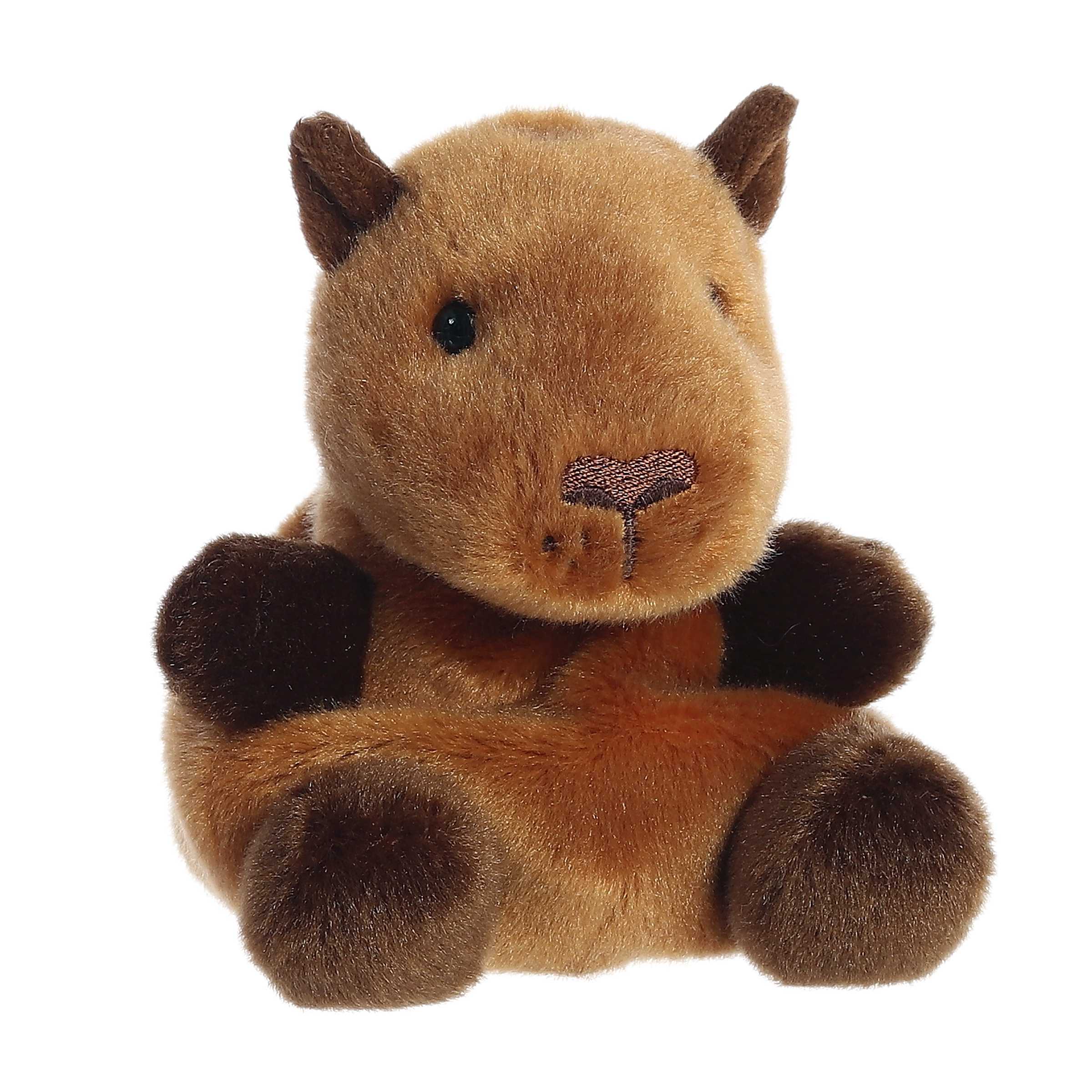 Sid Capybaraâ„¢ - Image 2