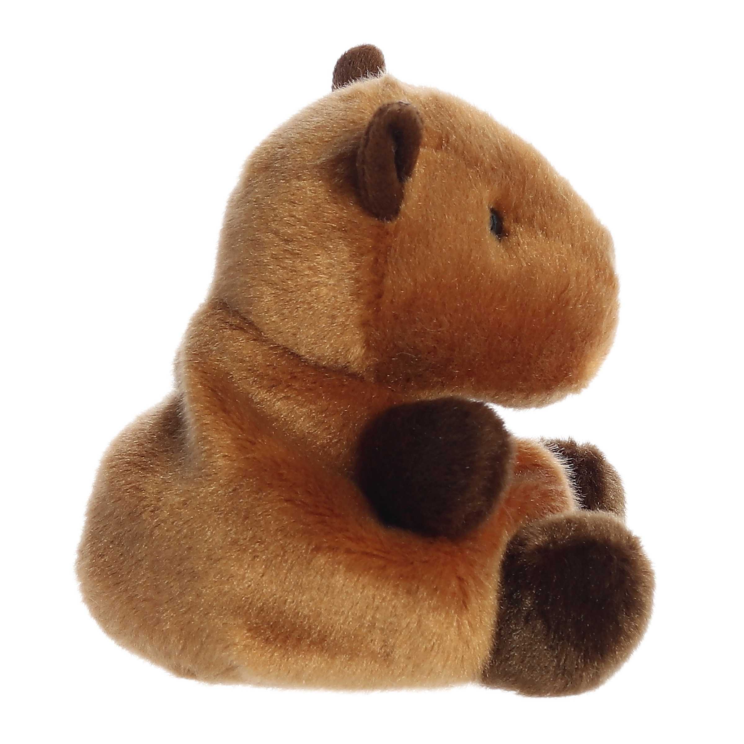 Sid Capybaraâ„¢ - Image 3