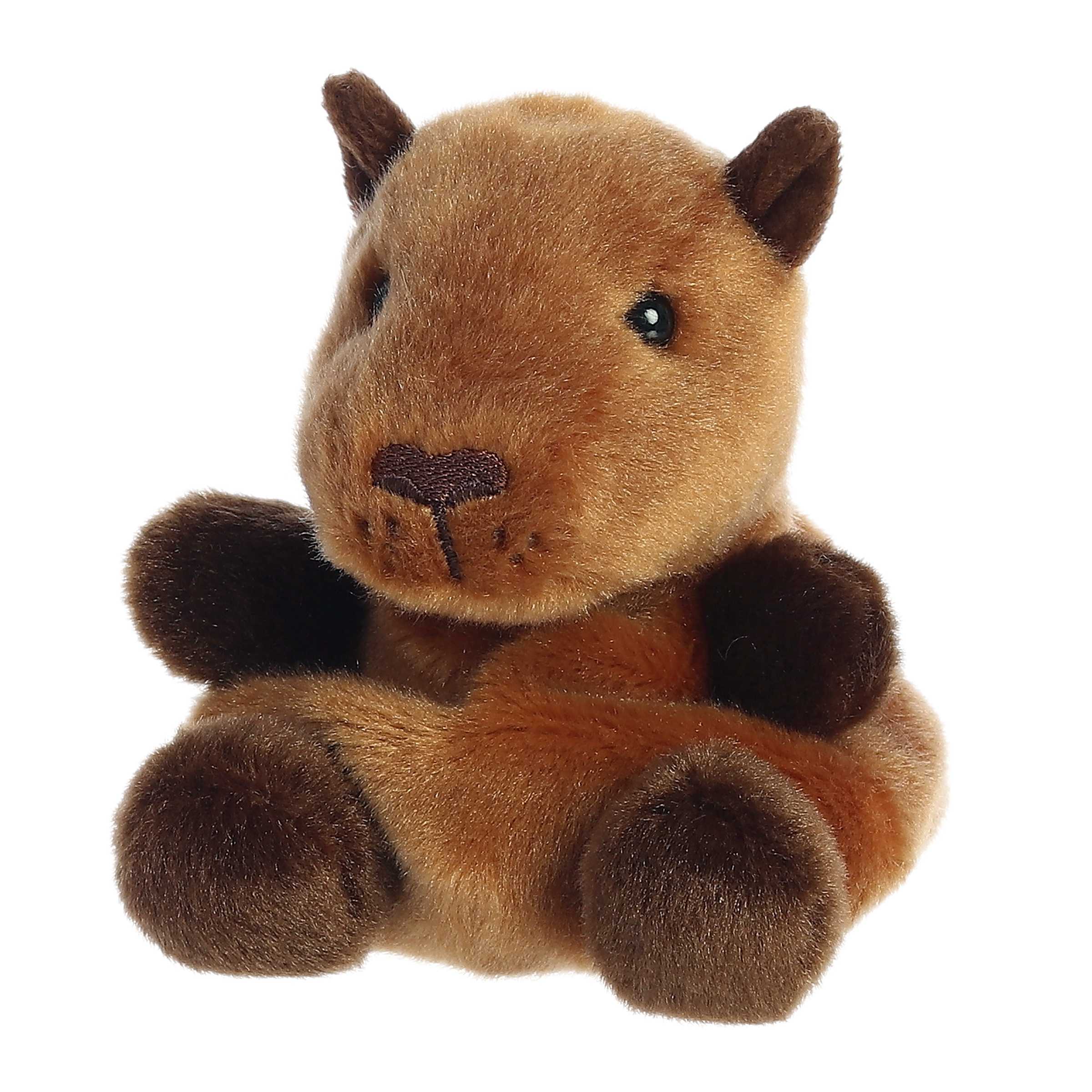 Sid Capybaraâ„¢ - Image 5