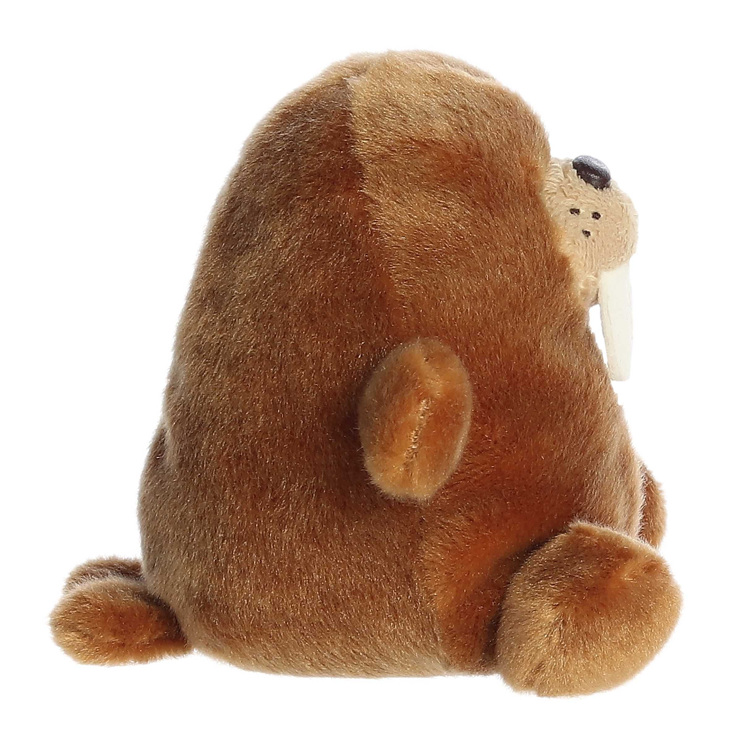 Waldo Walrus™ - Image 3