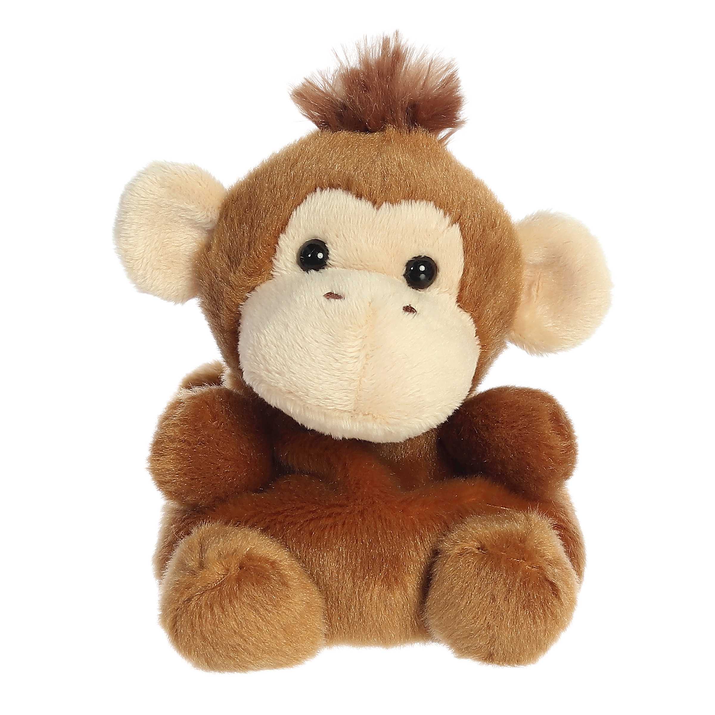 Boomer Monkey™