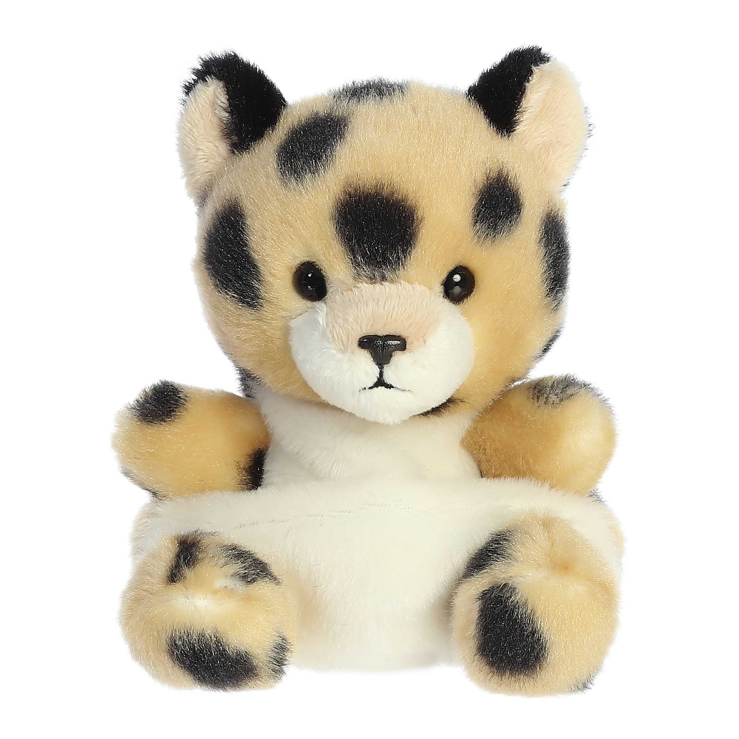 Chutney Cheetahâ„¢