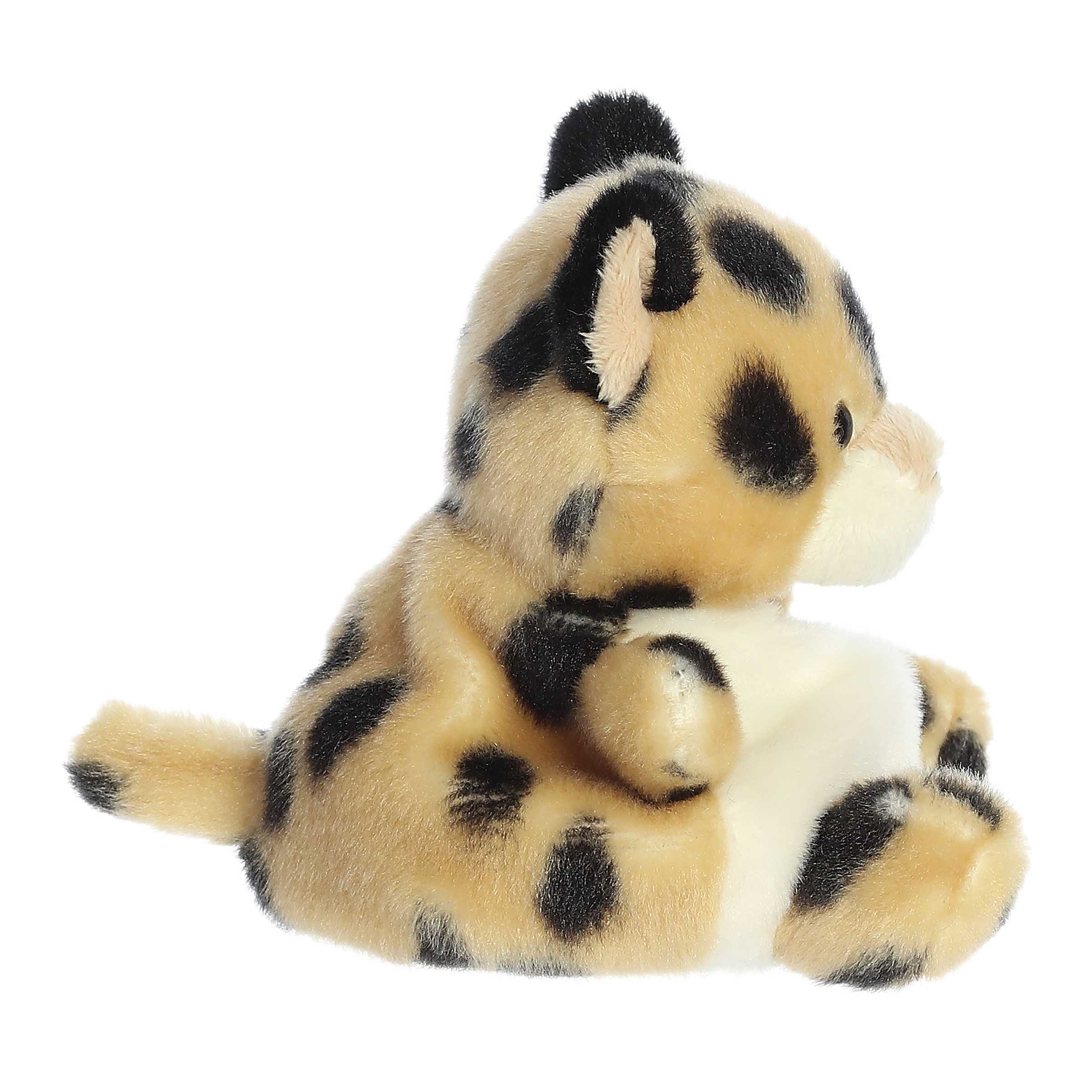 Chutney Cheetahâ„¢ - Image 3