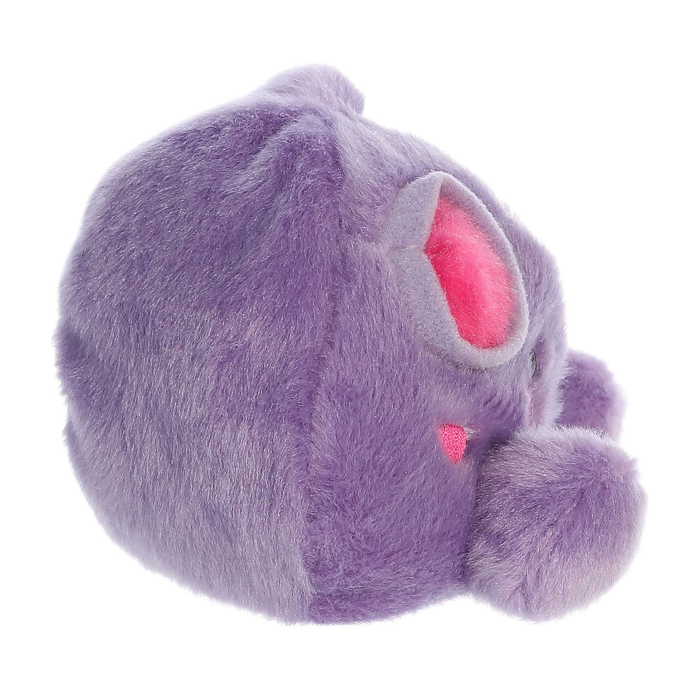 Cal Meteor™ - Image 3