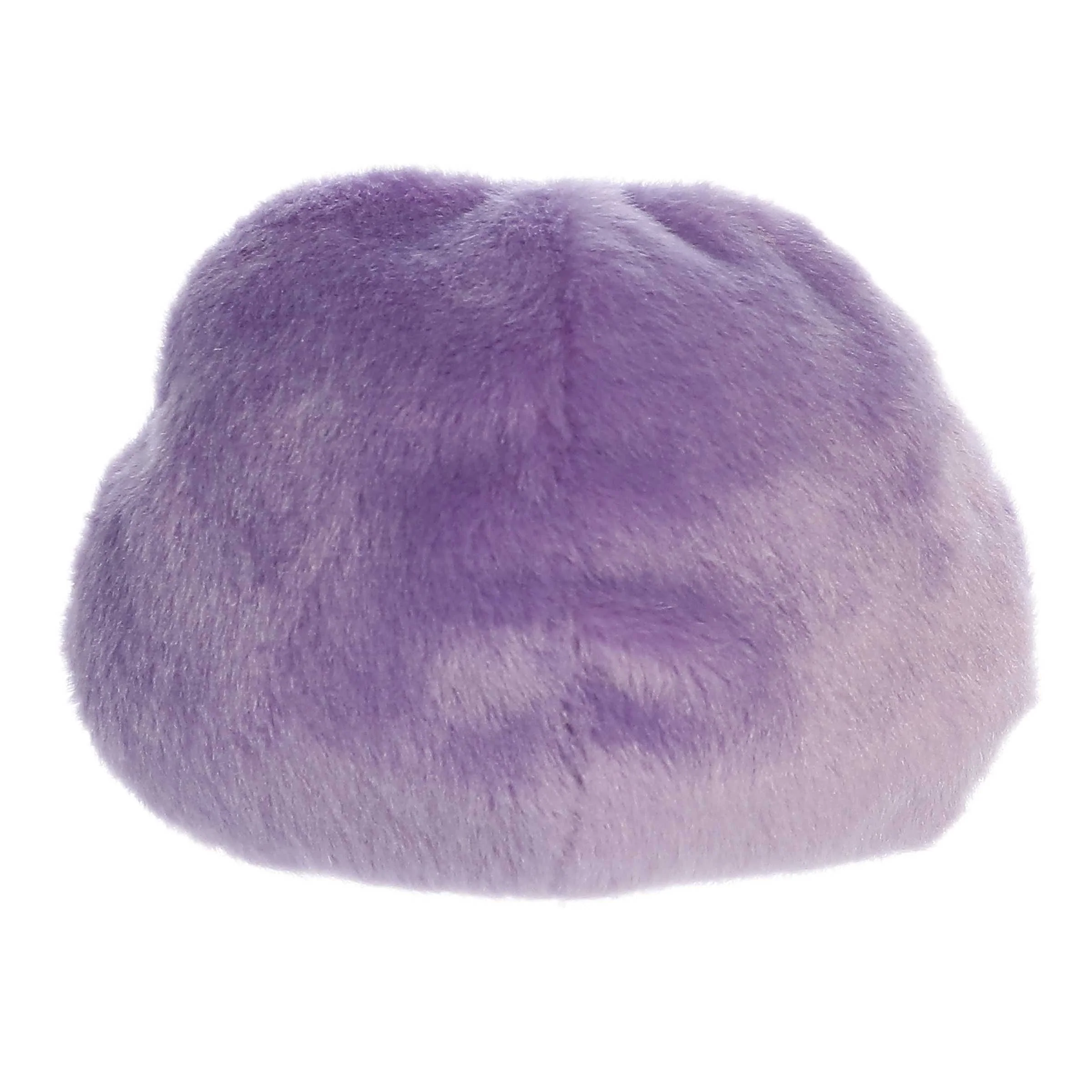 Cal Meteor™ - Image 4