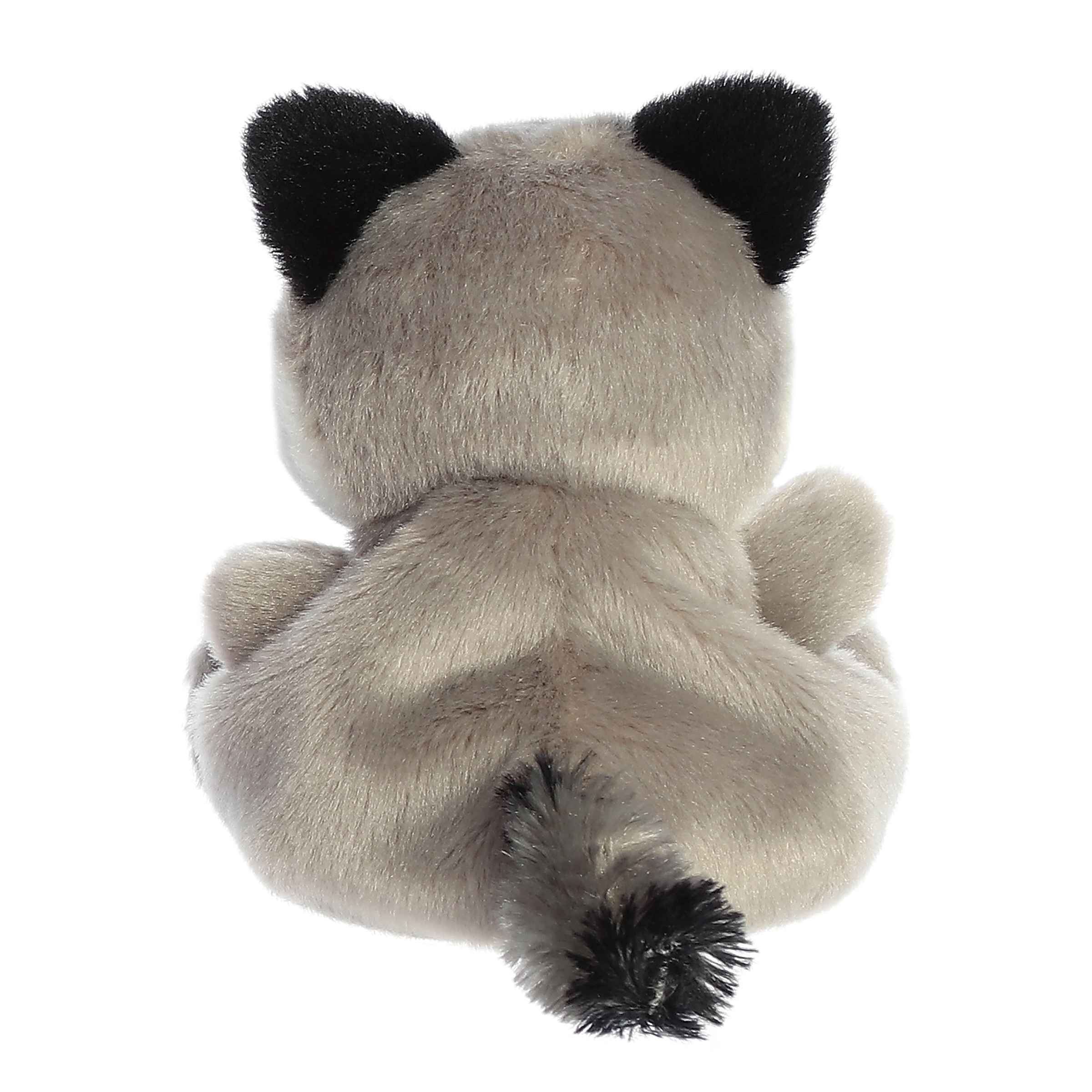 Rascal Raccoon™ - Image 4