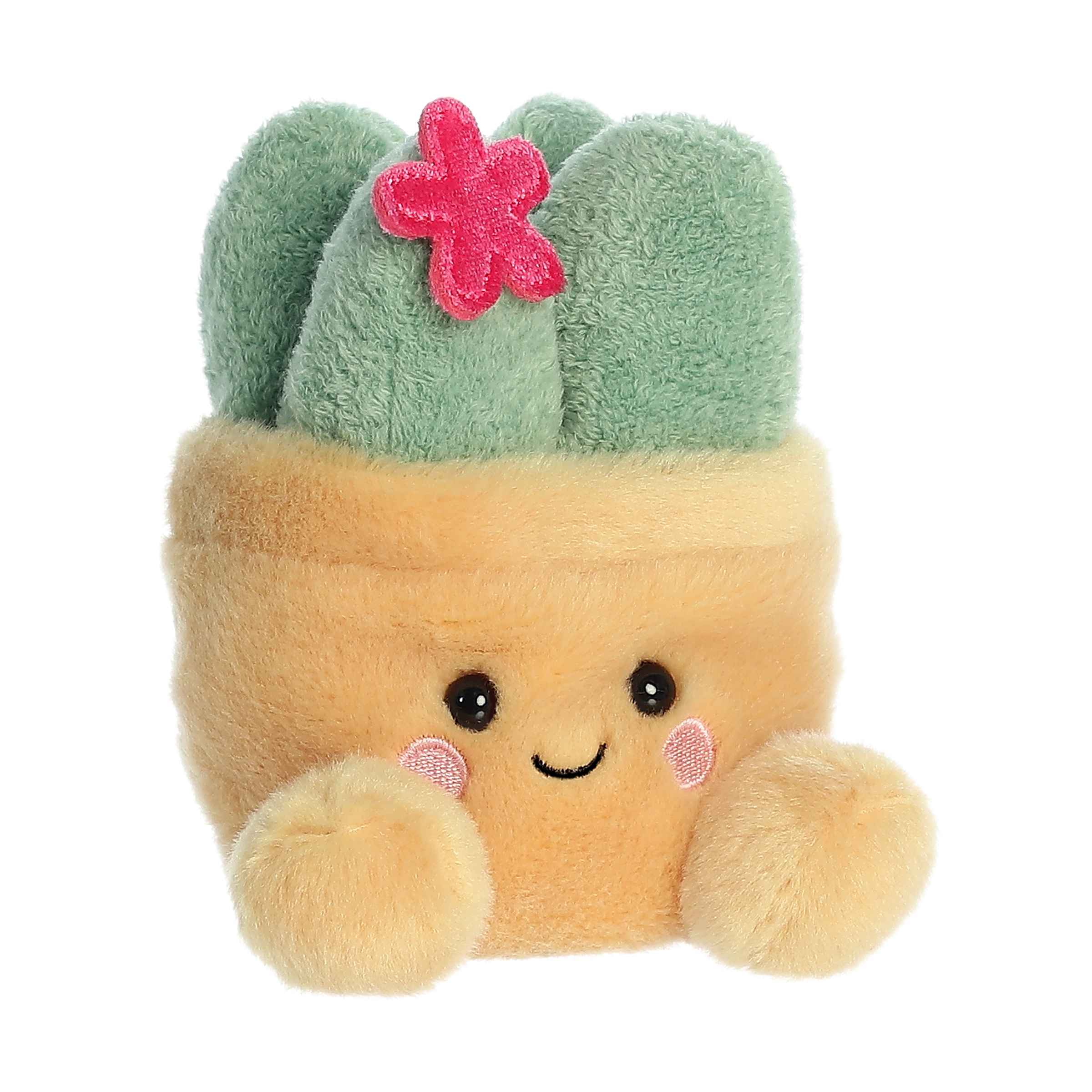 Seyla Succulent™ - Image 2