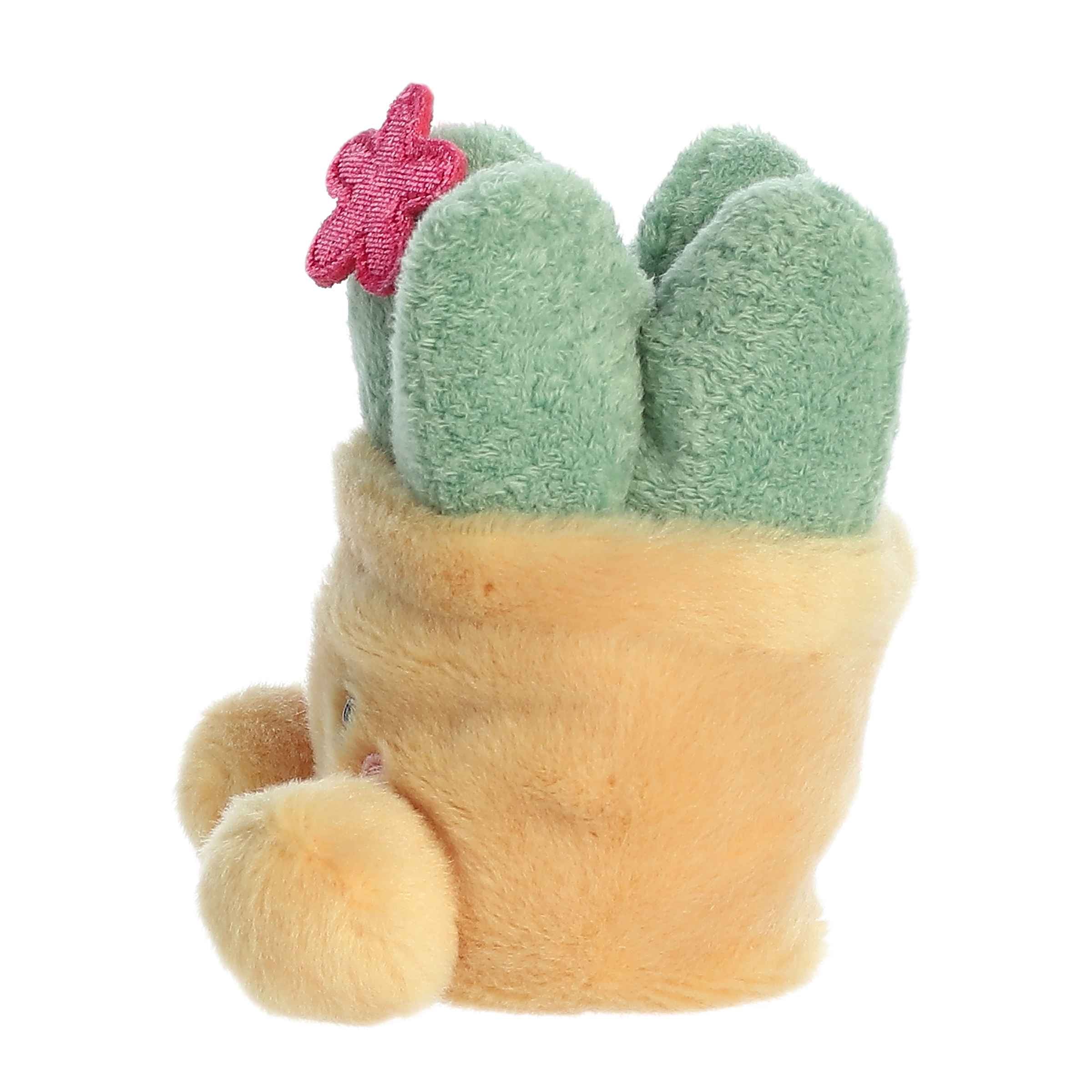 Seyla Succulent™ - Image 5