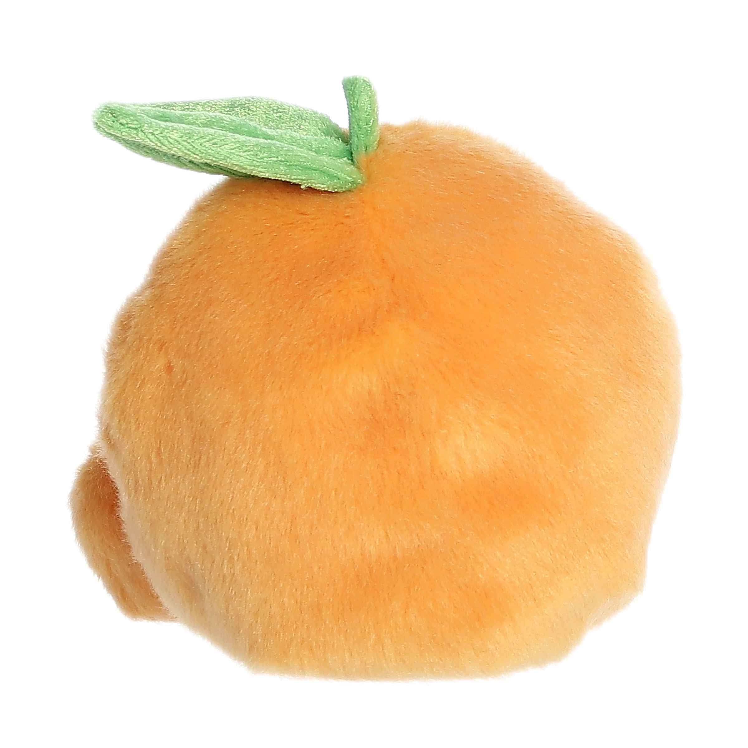 Tangie Orange™ - Image 4