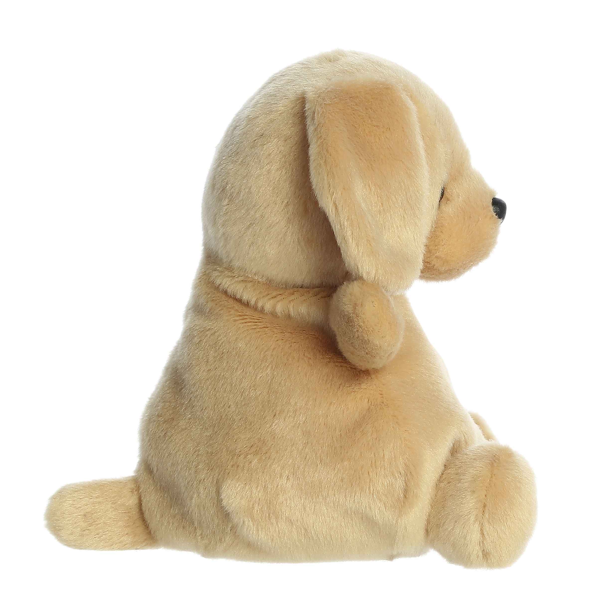 8" Sunny Lab™ - Image 3