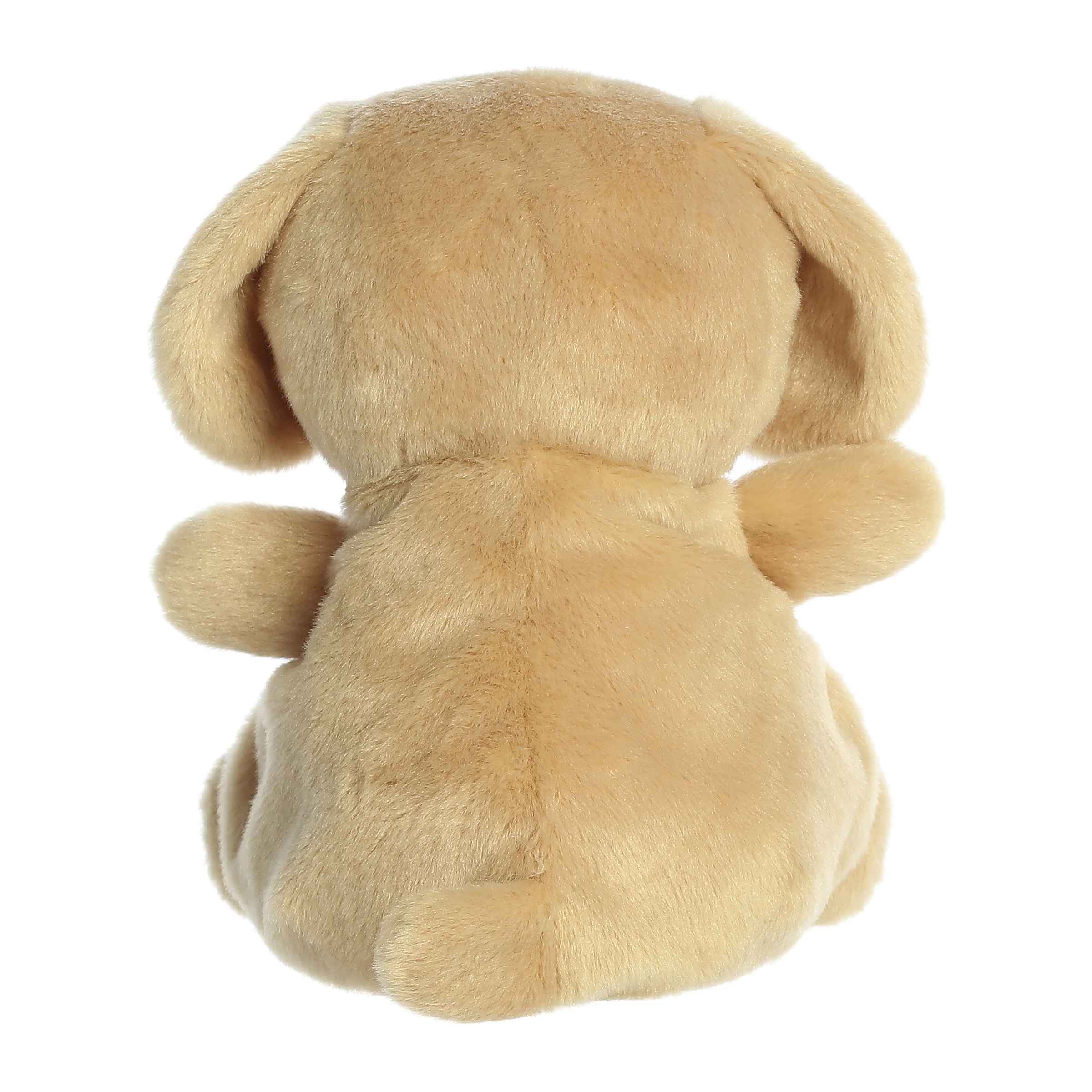 8" Sunny Lab™ - Image 4