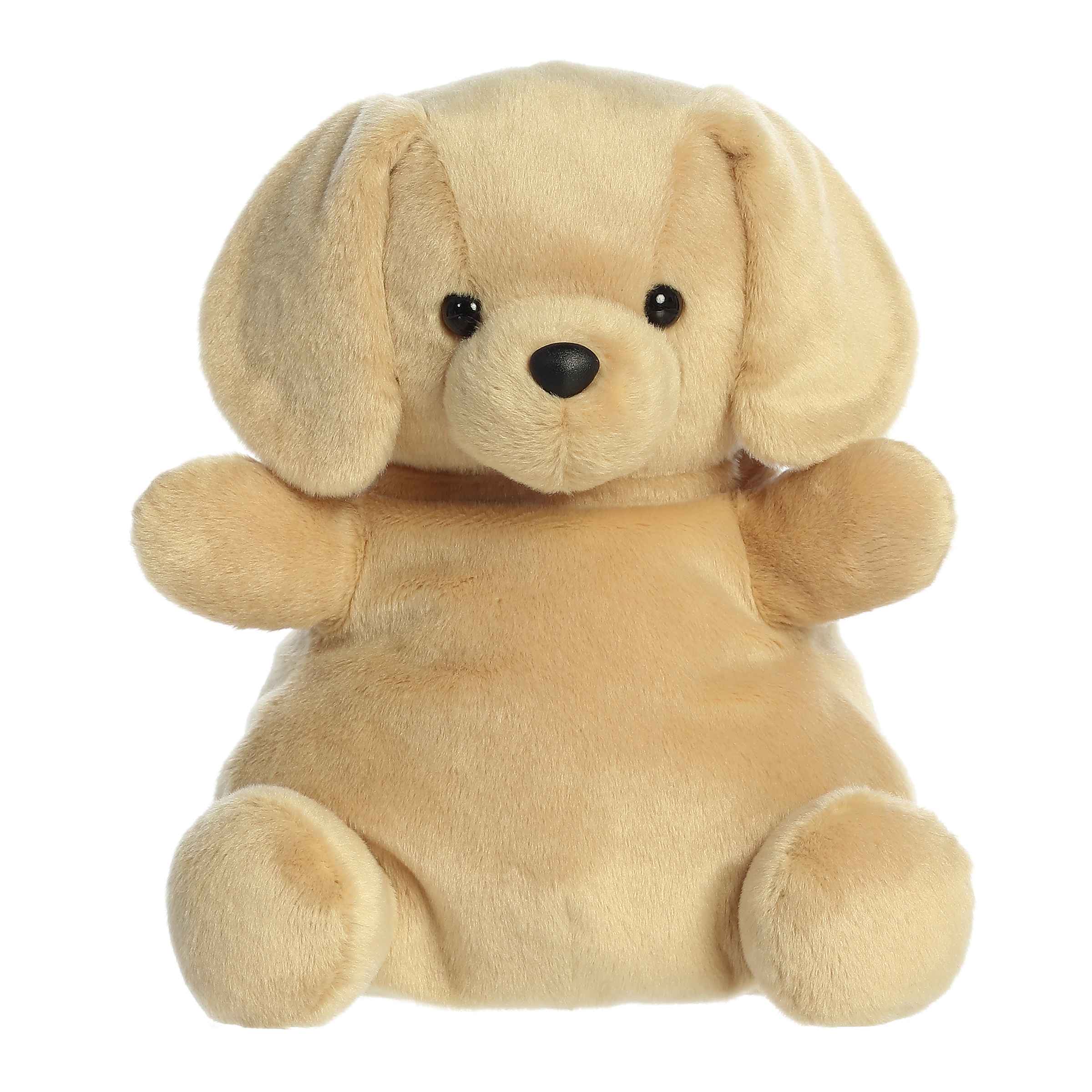 13" Sunny Lab™