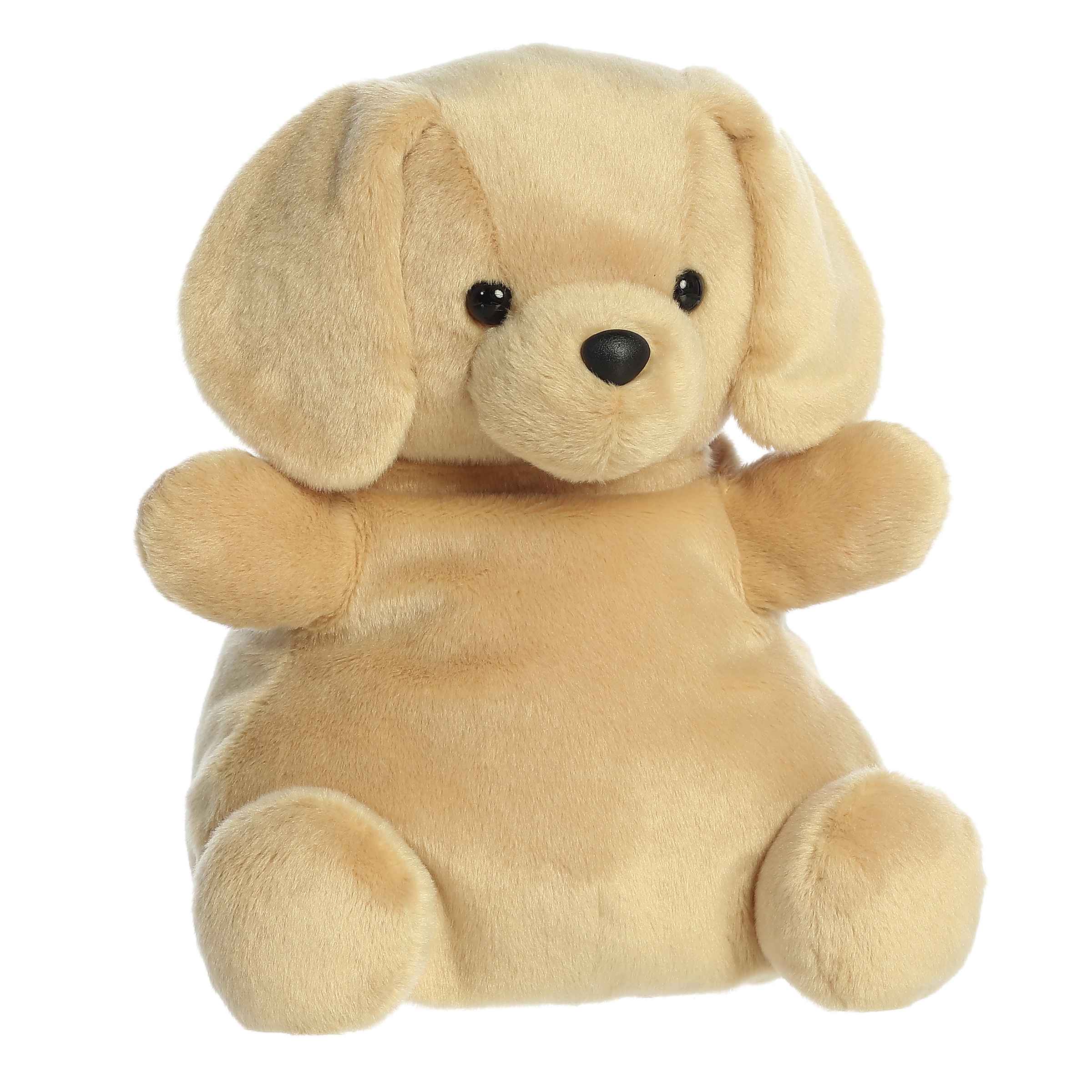 13" Sunny Lab™ - Image 2