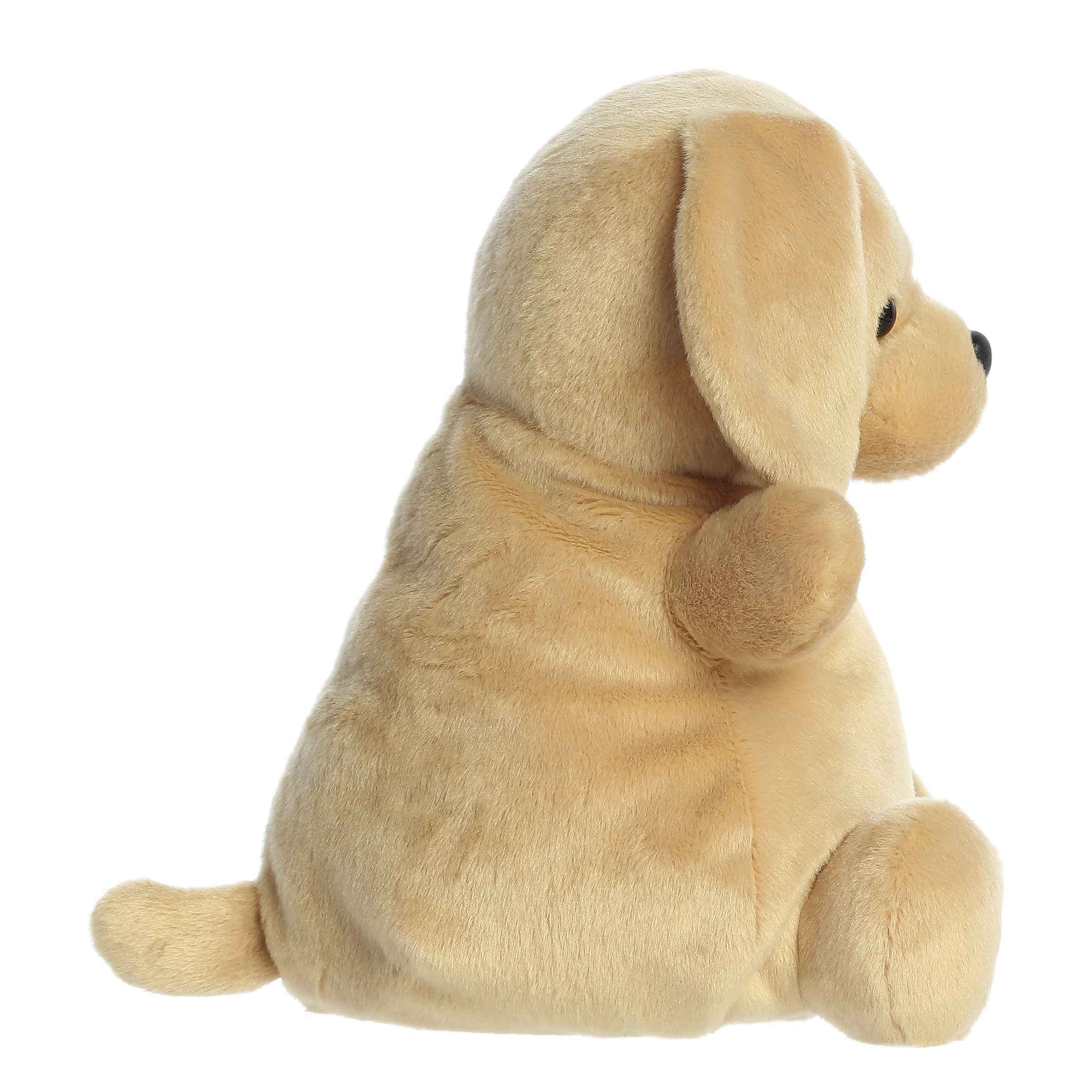 13" Sunny Lab™ - Image 3