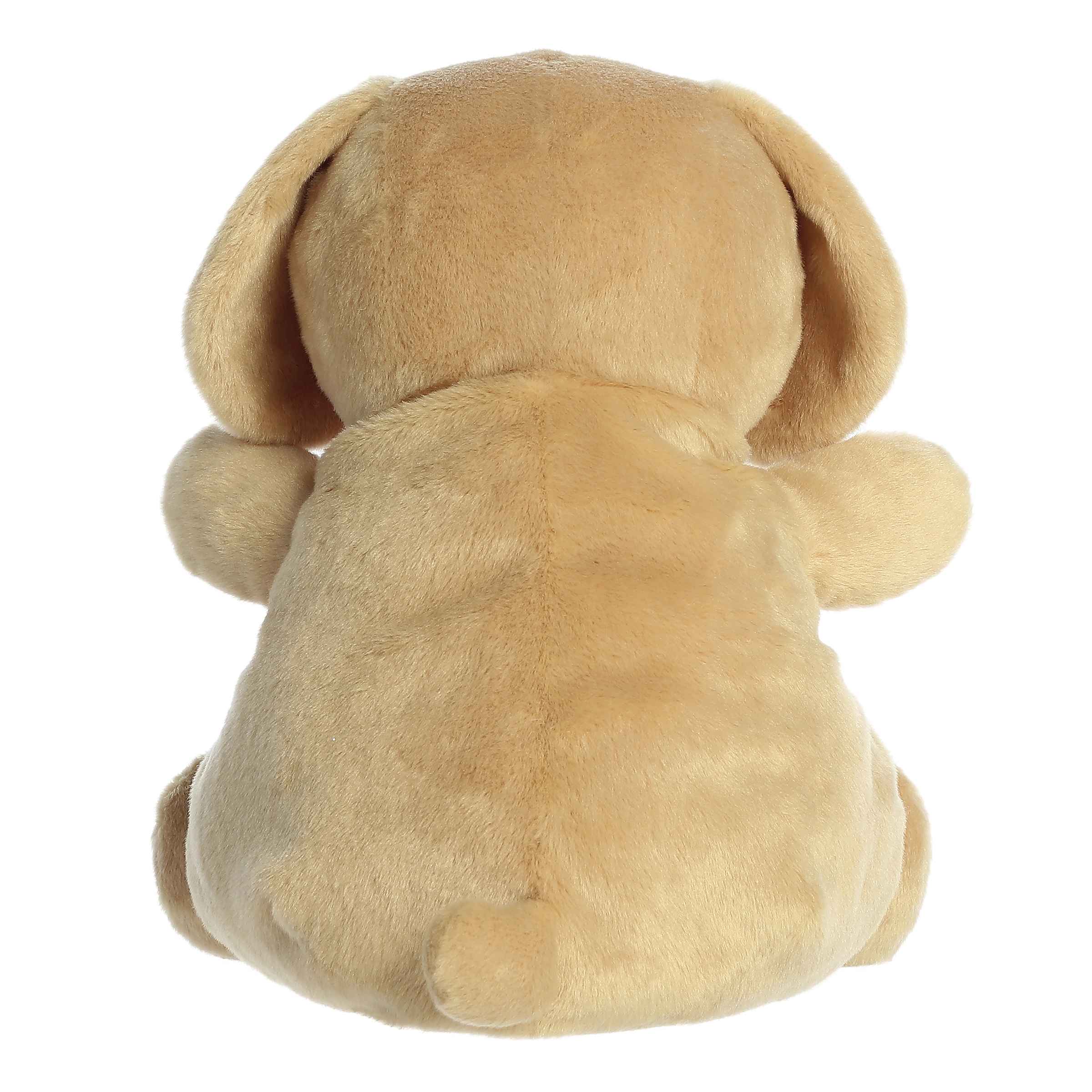 13" Sunny Lab™ - Image 4