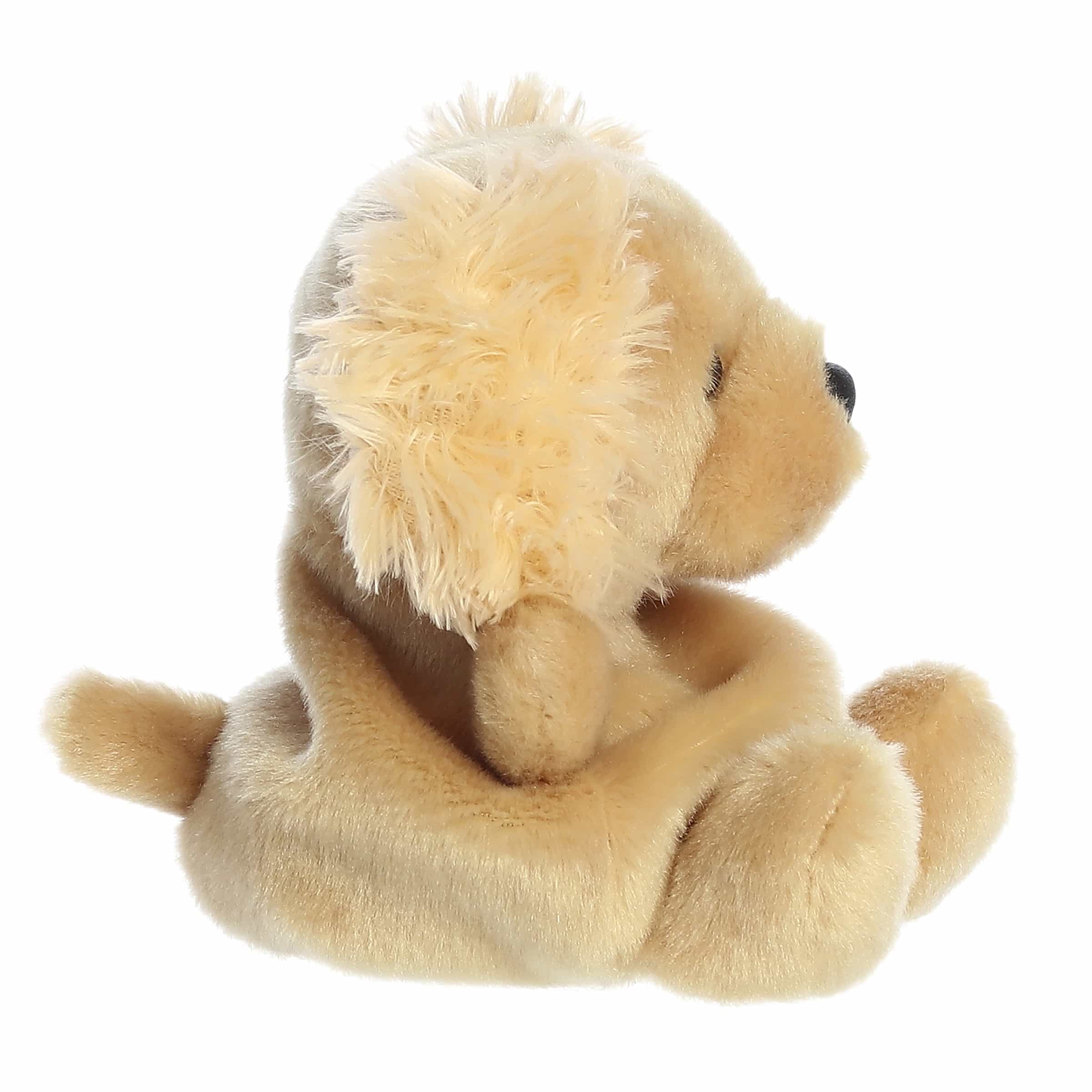 Oatmeal Goldendoodle™ - Image 3