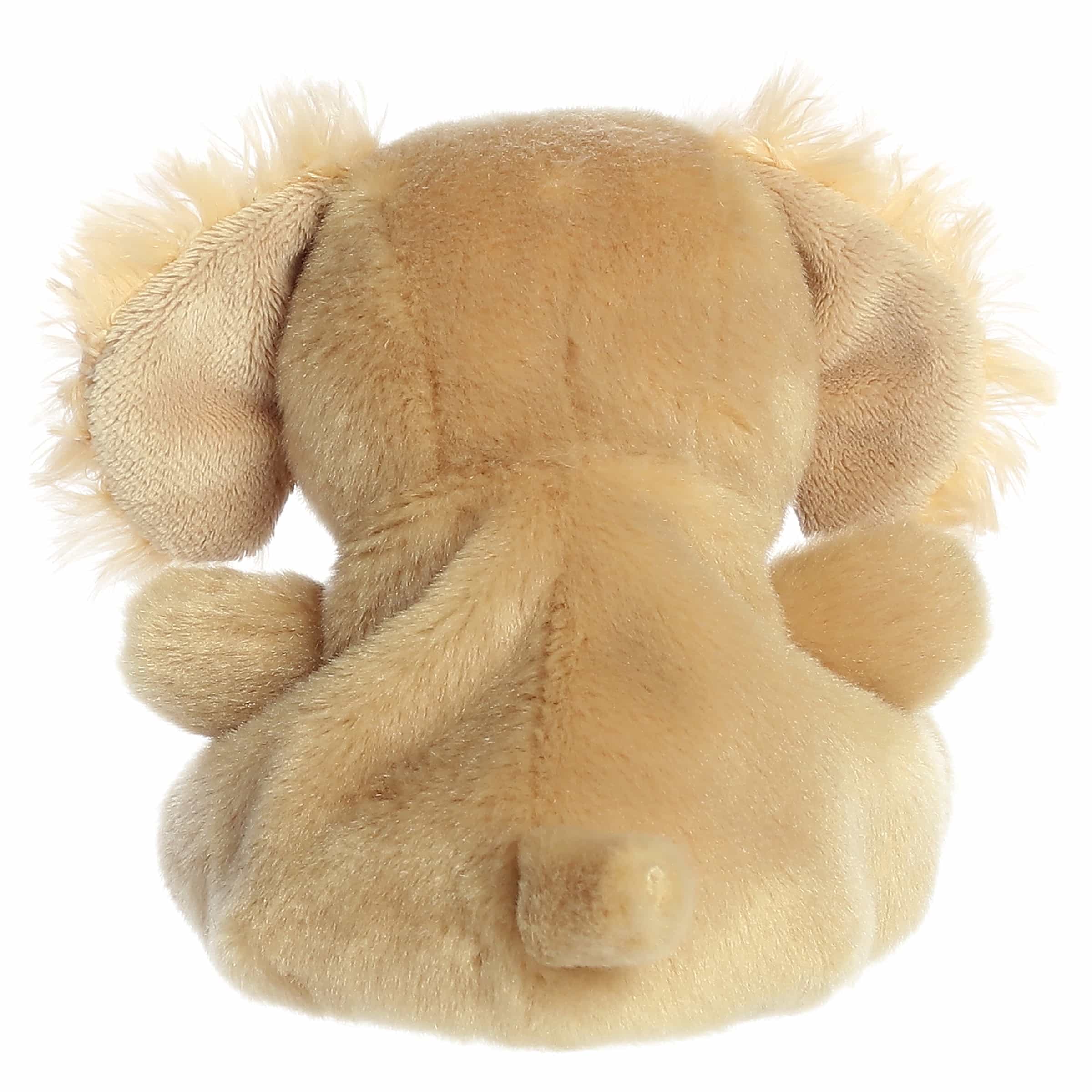 Oatmeal Goldendoodle™ - Image 4