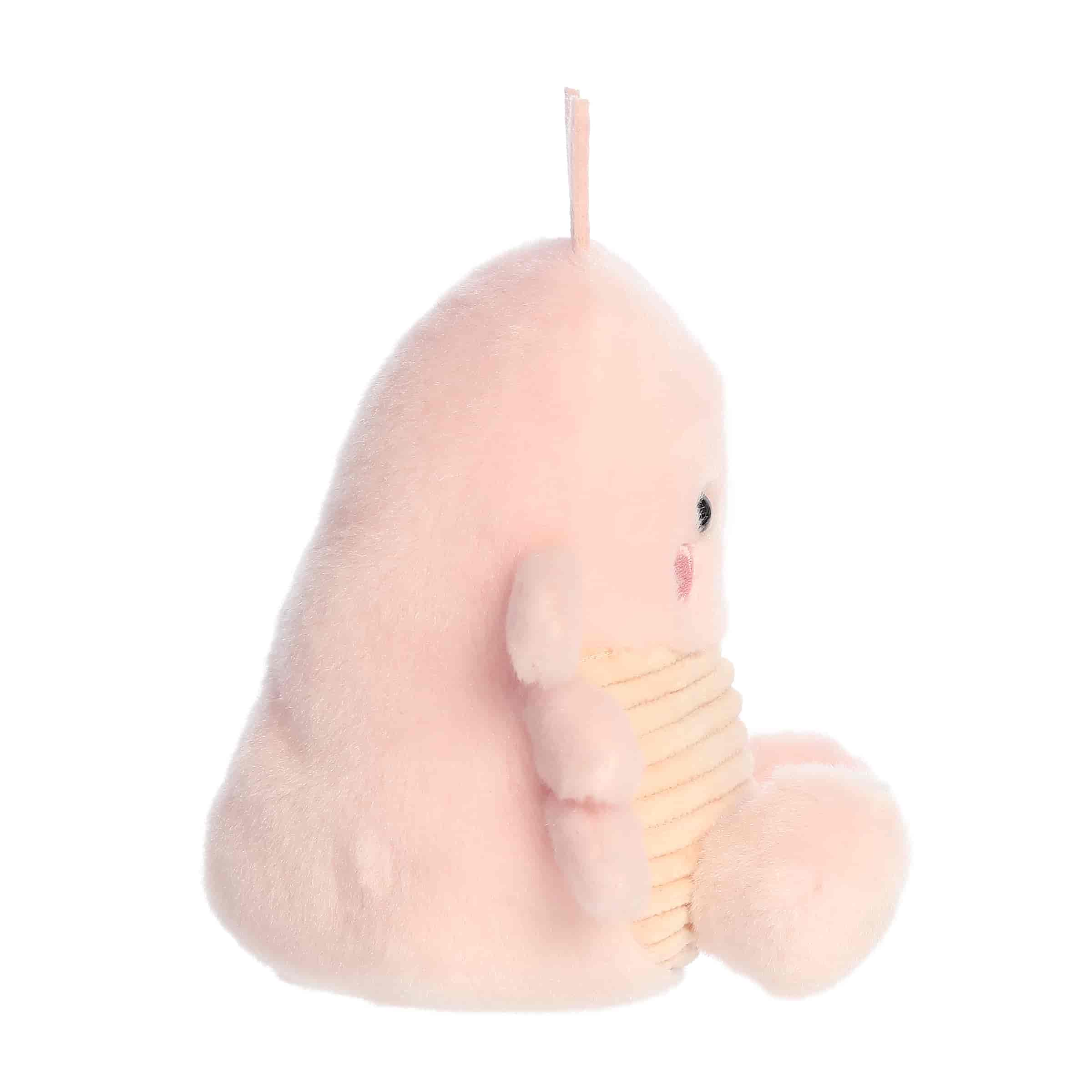 Augustin Shrimp™ - Image 3