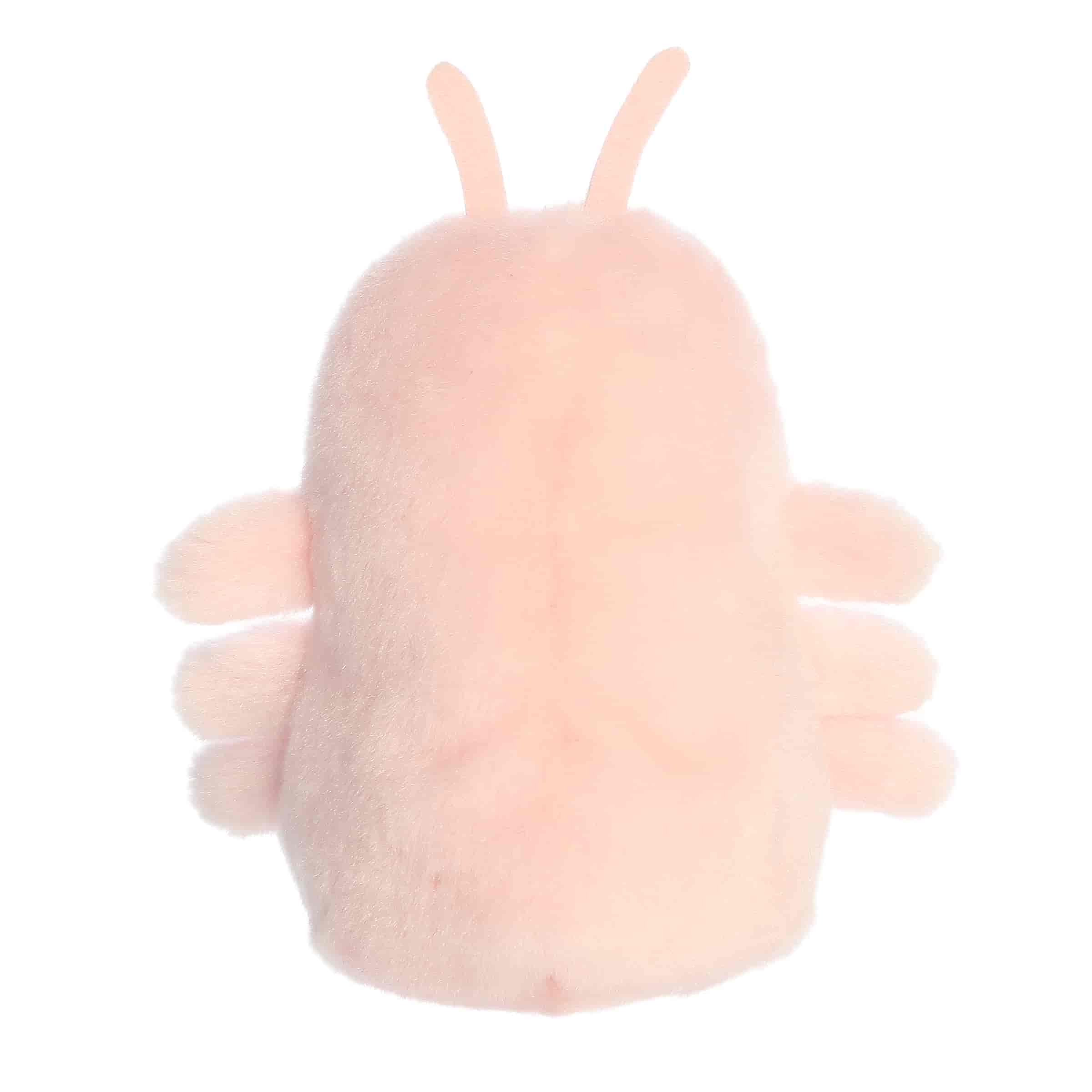 Augustin Shrimp™ - Image 4