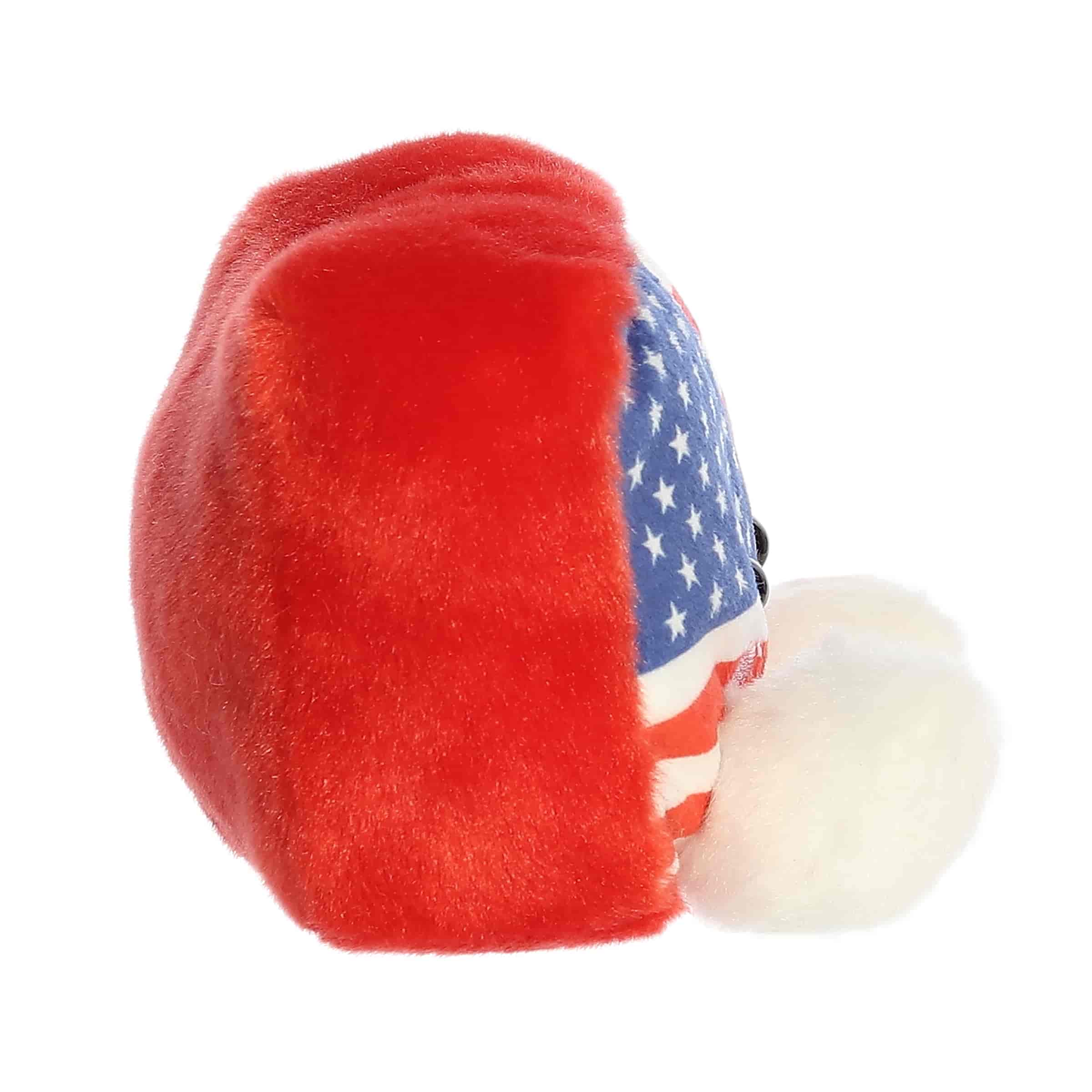 Indivisible Flag™ - Image 3