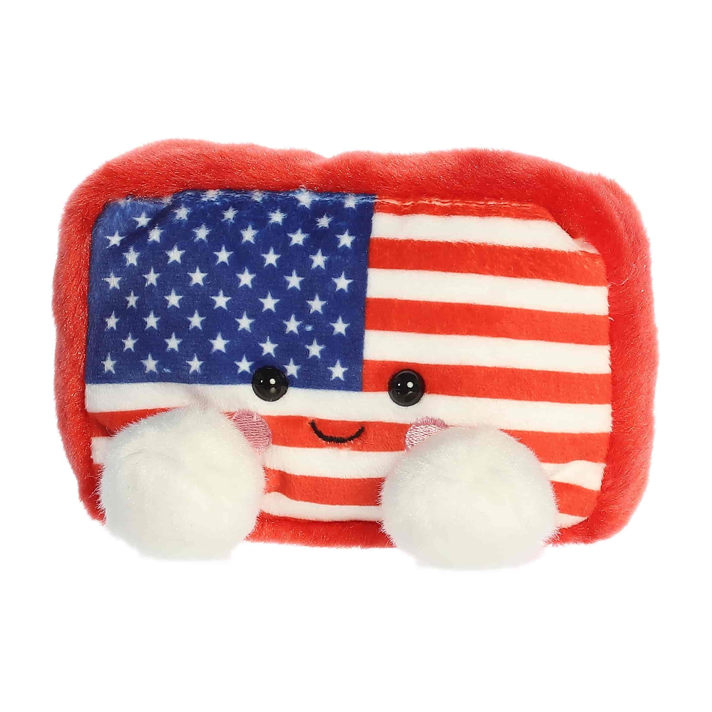 Indivisible Flag™ - Image 5