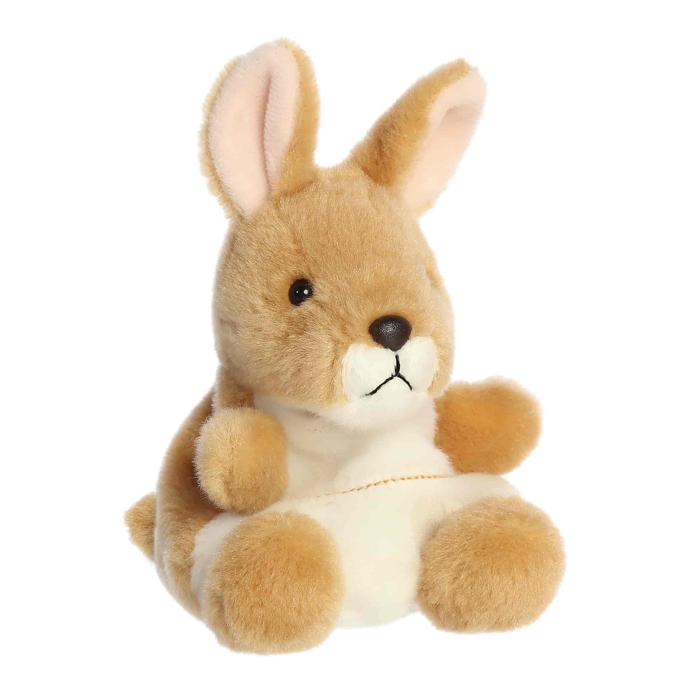 Adelaide Kangarooâ˘