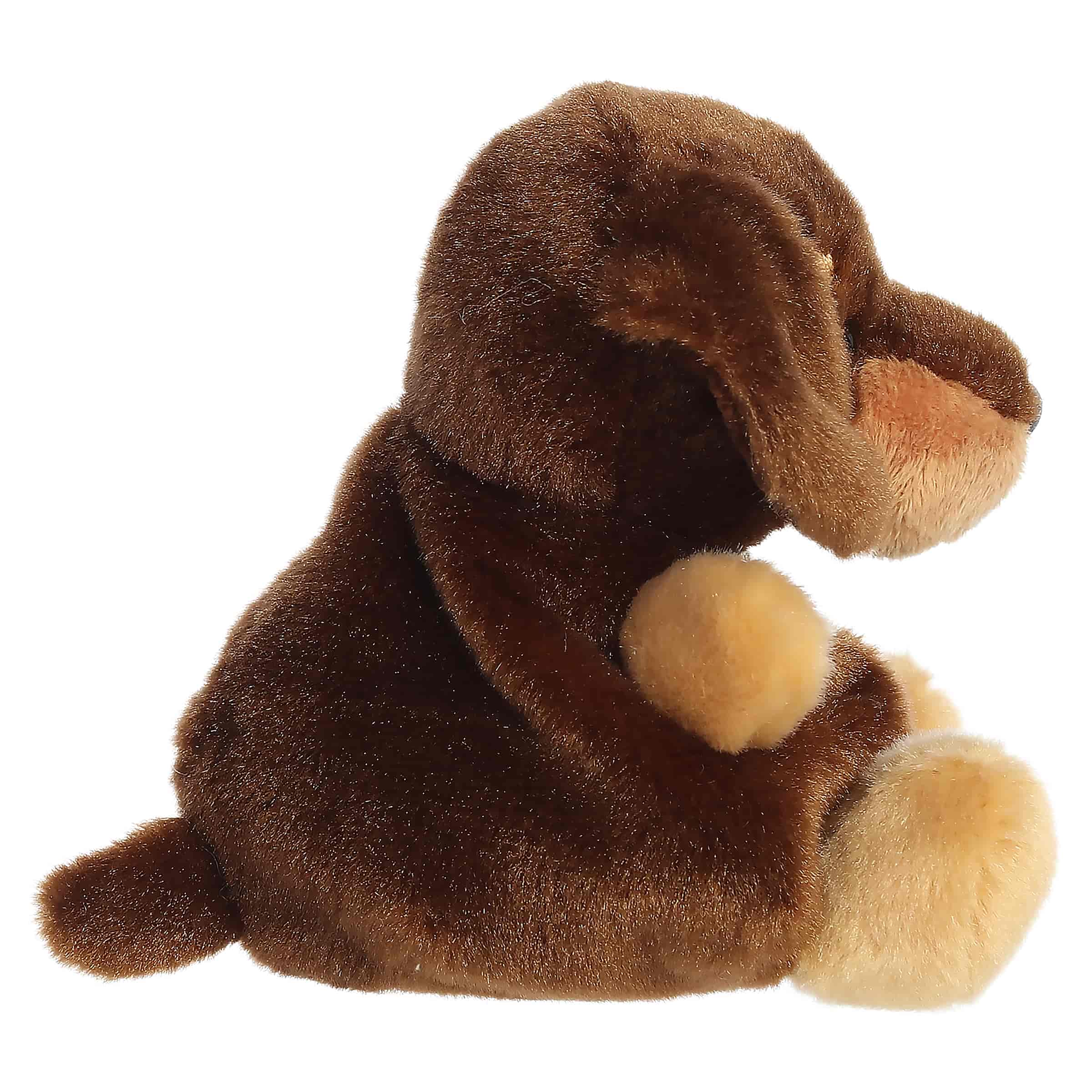 Houdini Dachshund™ - Image 3