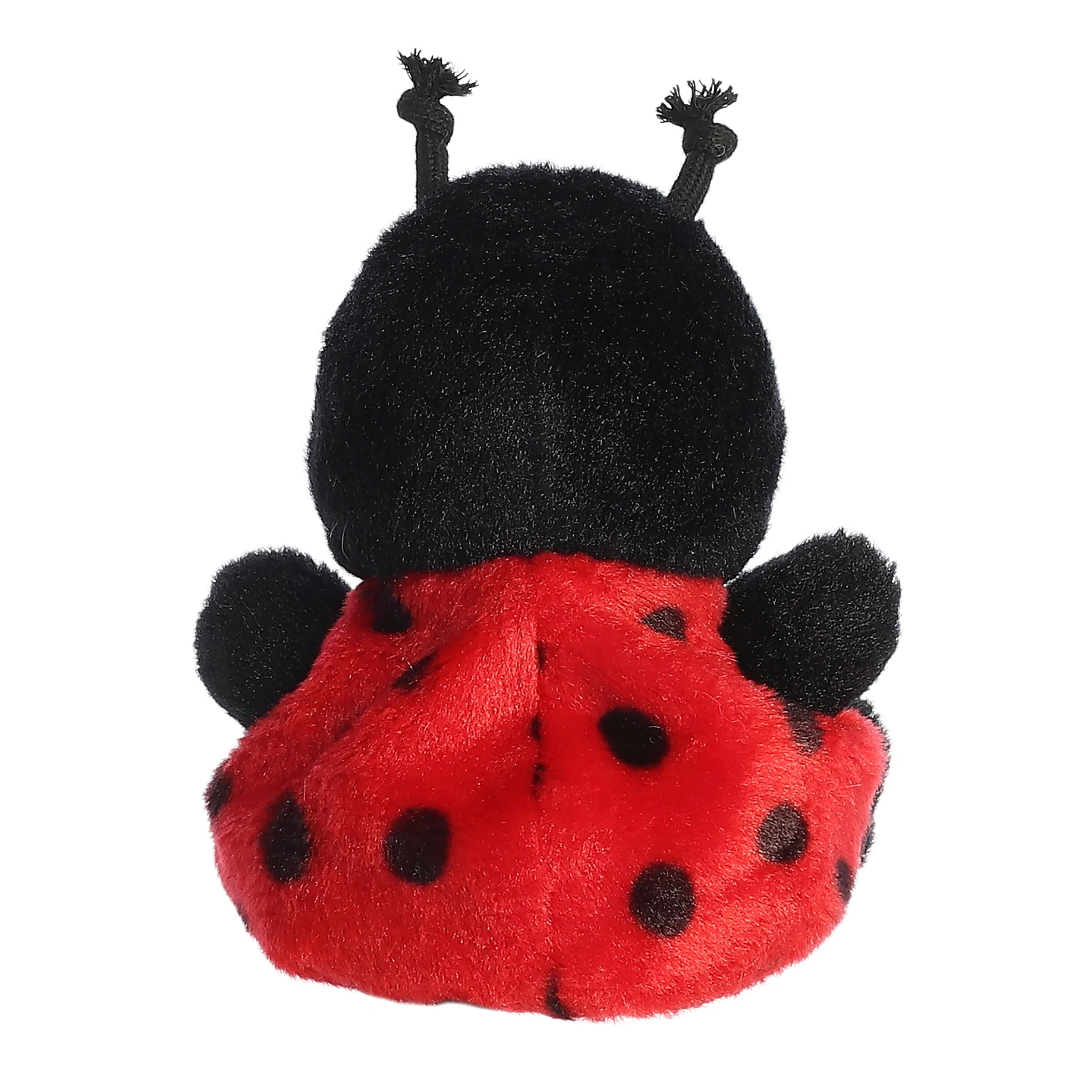 Lil Spots Ladybug™ - Image 4