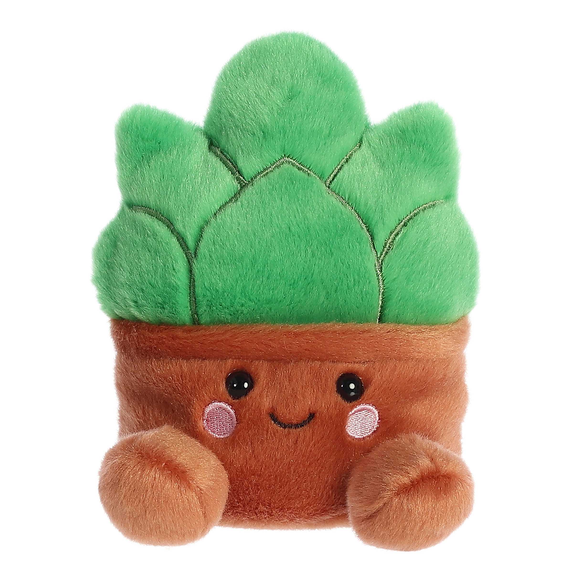 Gigi Succulentâ„¢