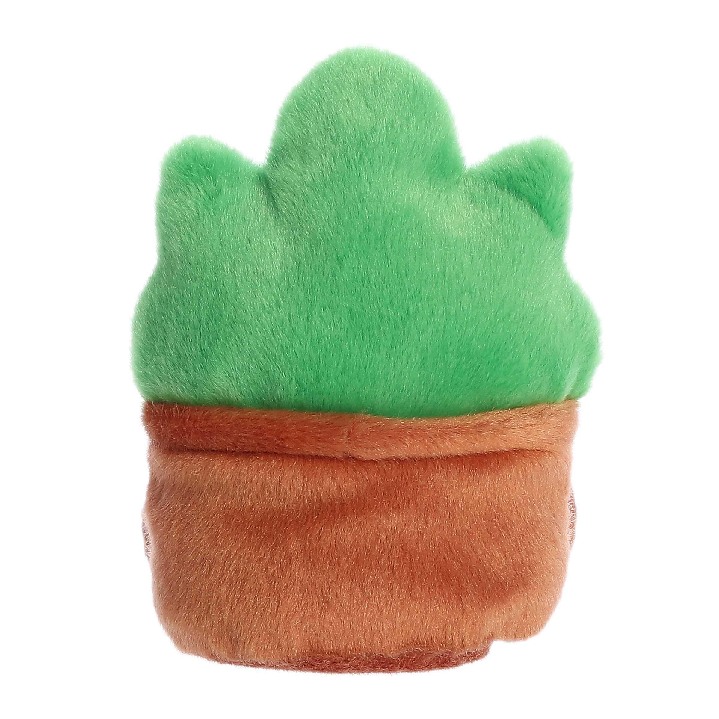 Gigi Succulentâ„¢ - Image 4