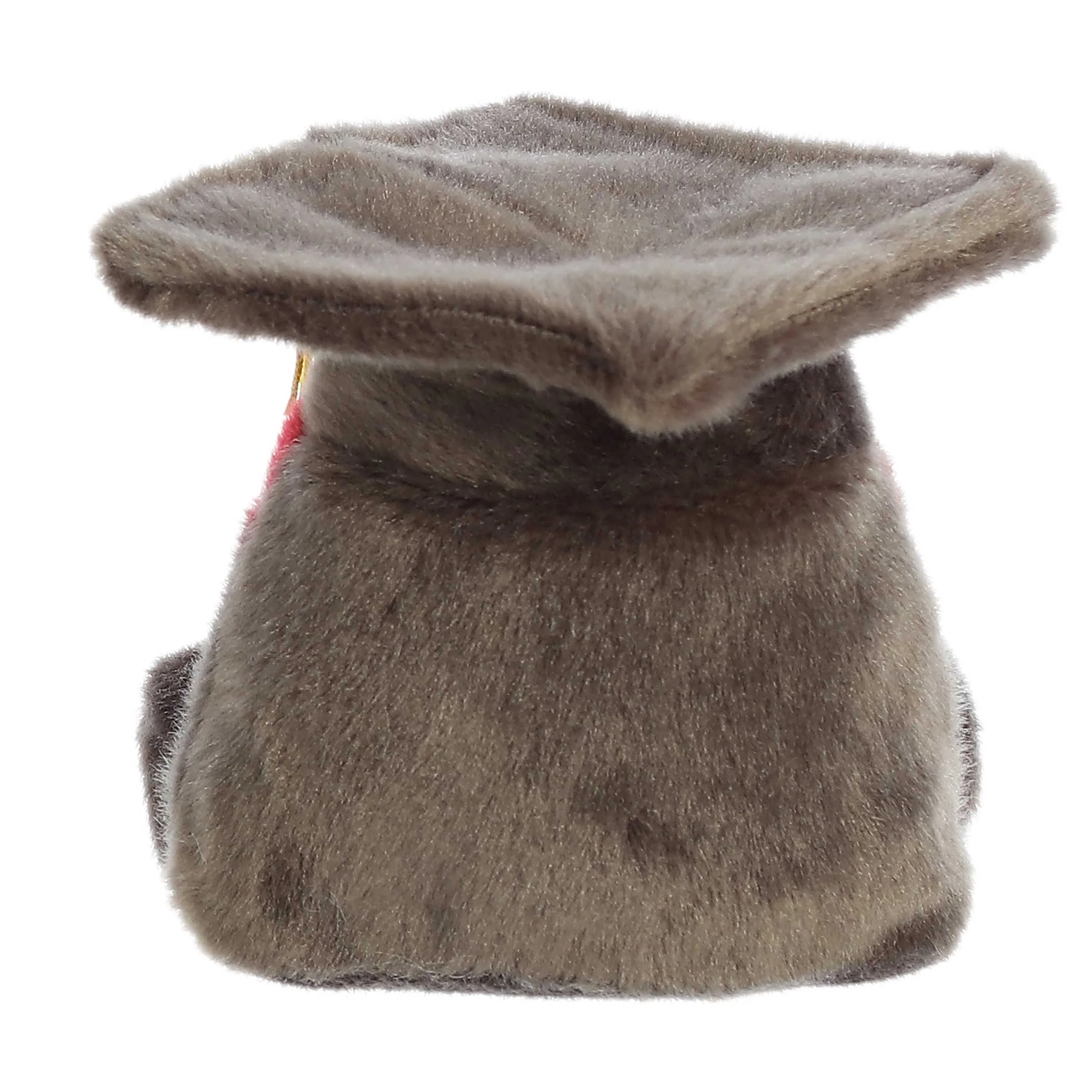 Scholarly Grad Cap - Image 4
