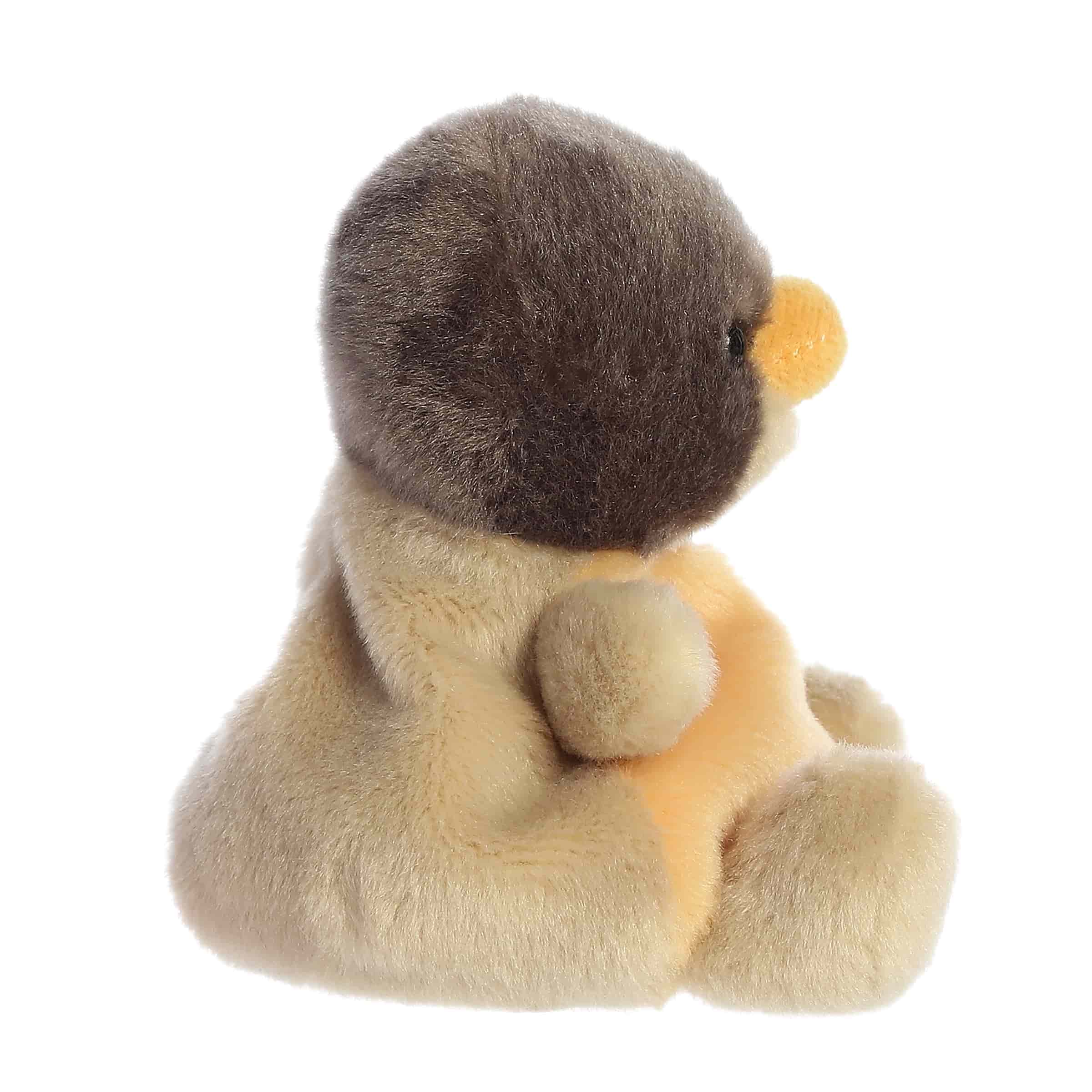 Rudi Robin™ - Image 3