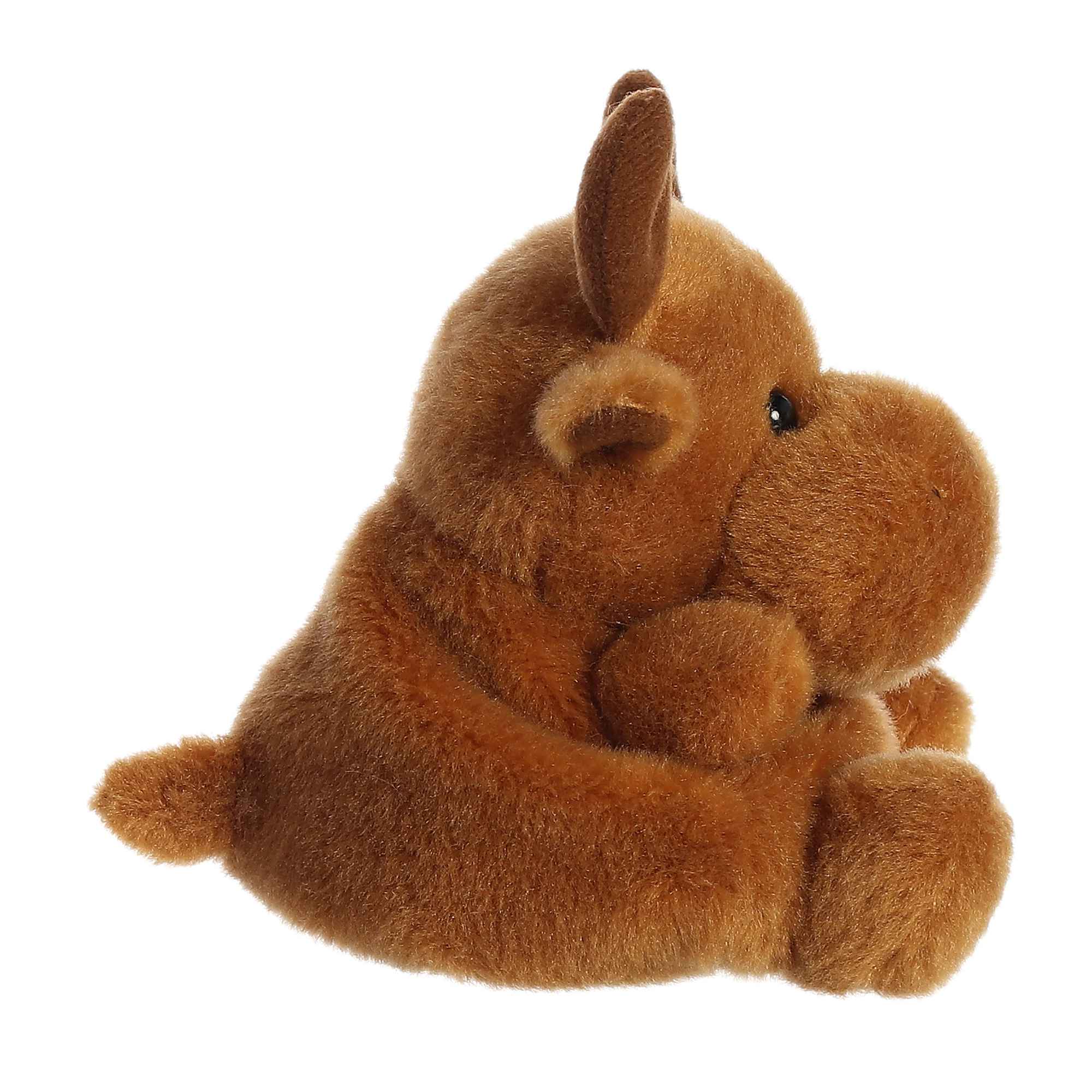 Cinnamon Moose™ - Image 3